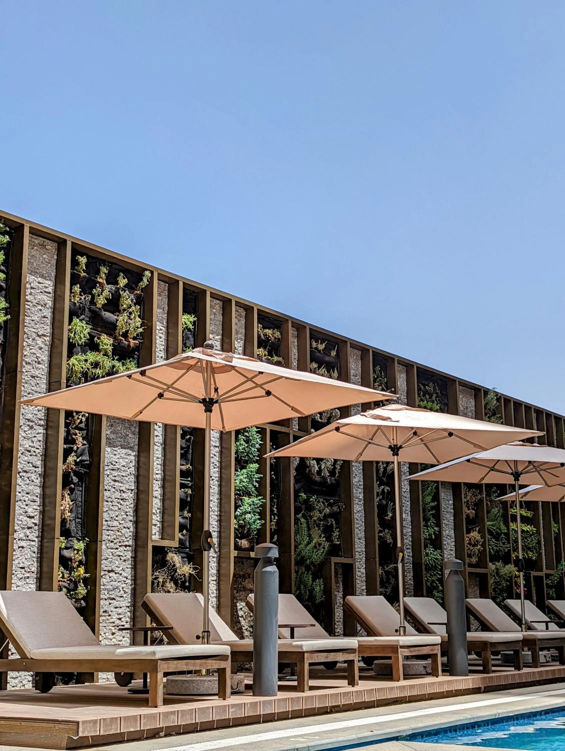 Swimming pool in Citadines Abha