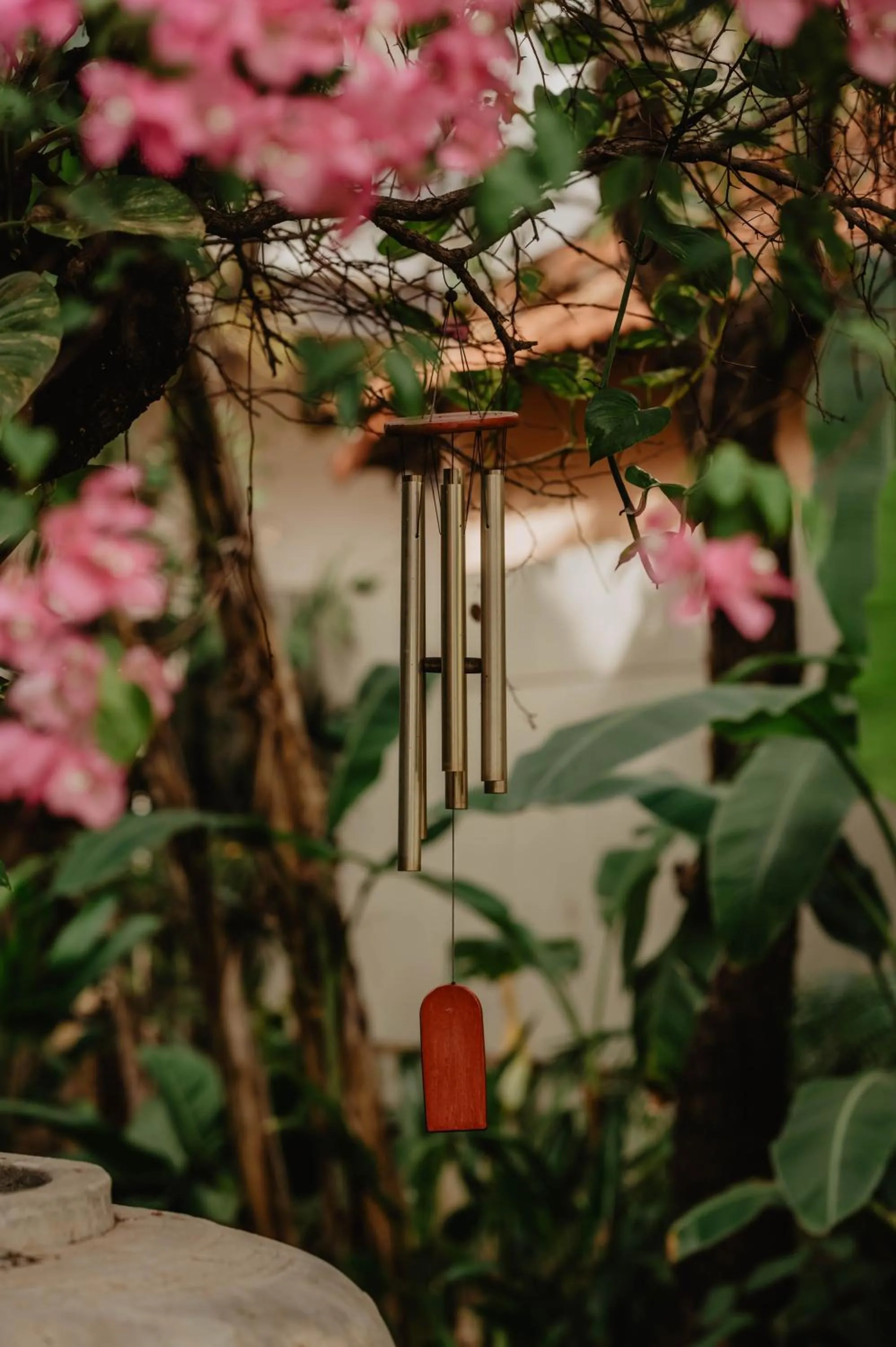 Garden in La Bastide de Caro