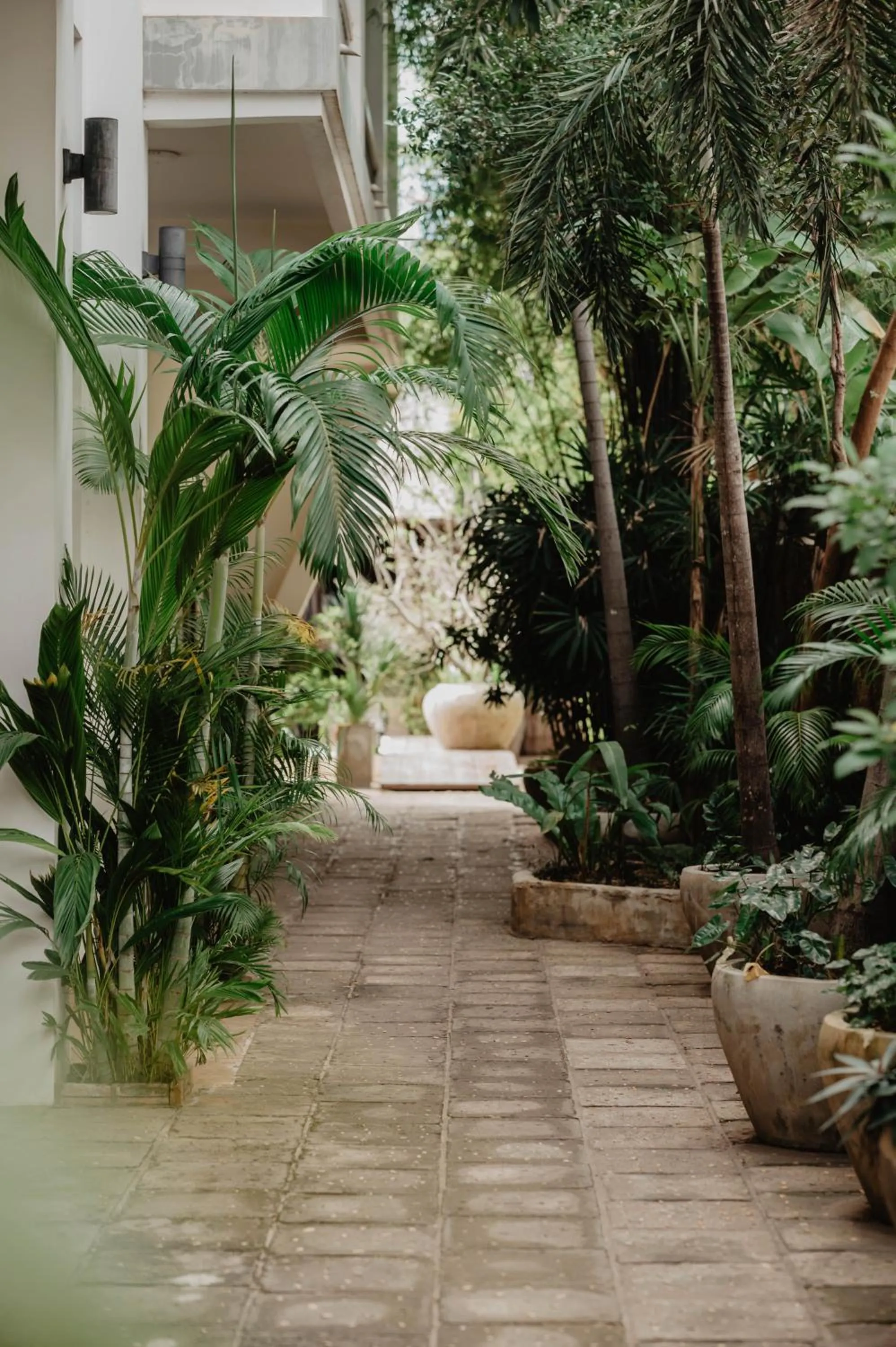 Garden in La Bastide de Caro