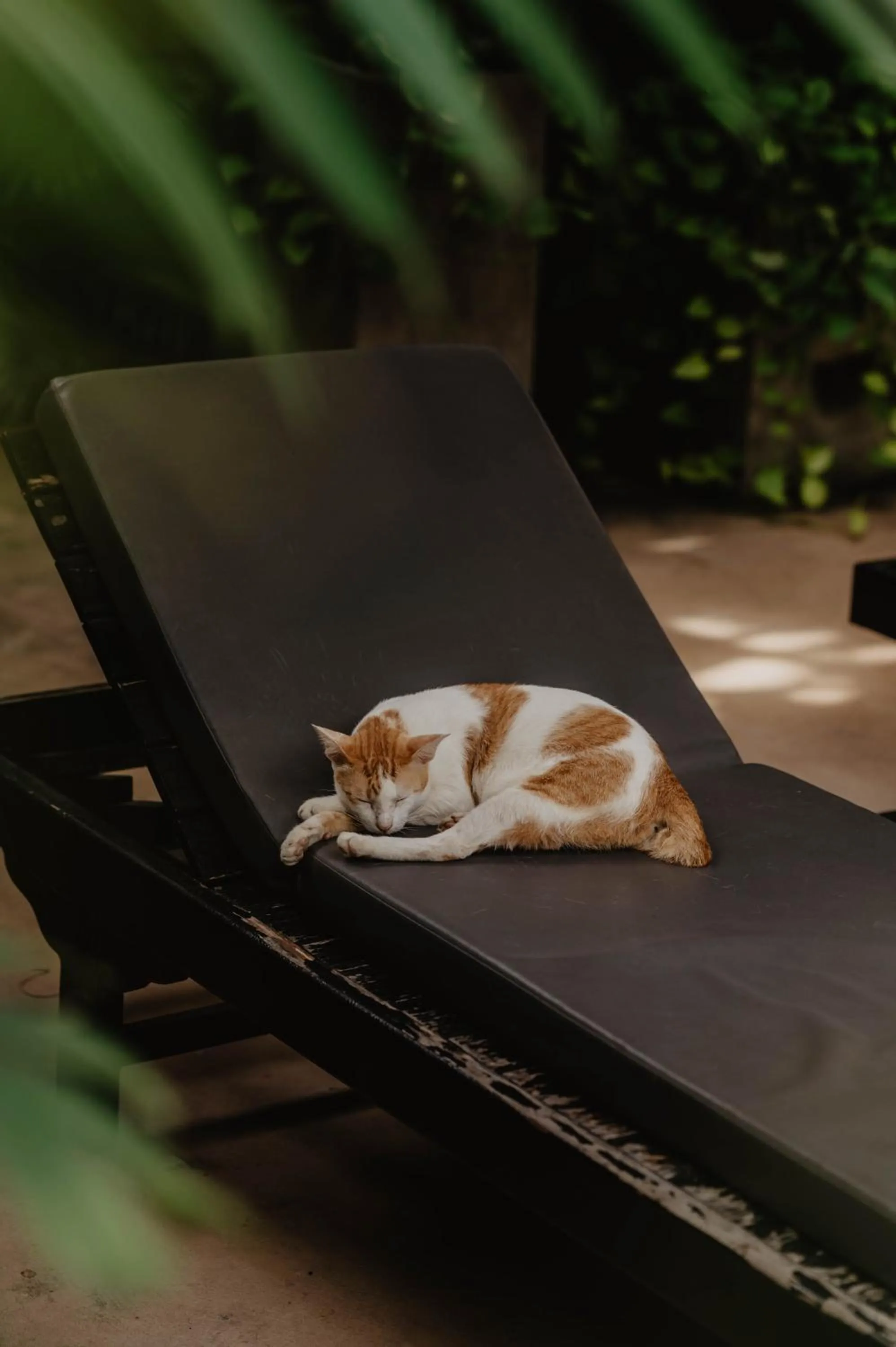Swimming pool in La Bastide de Caro