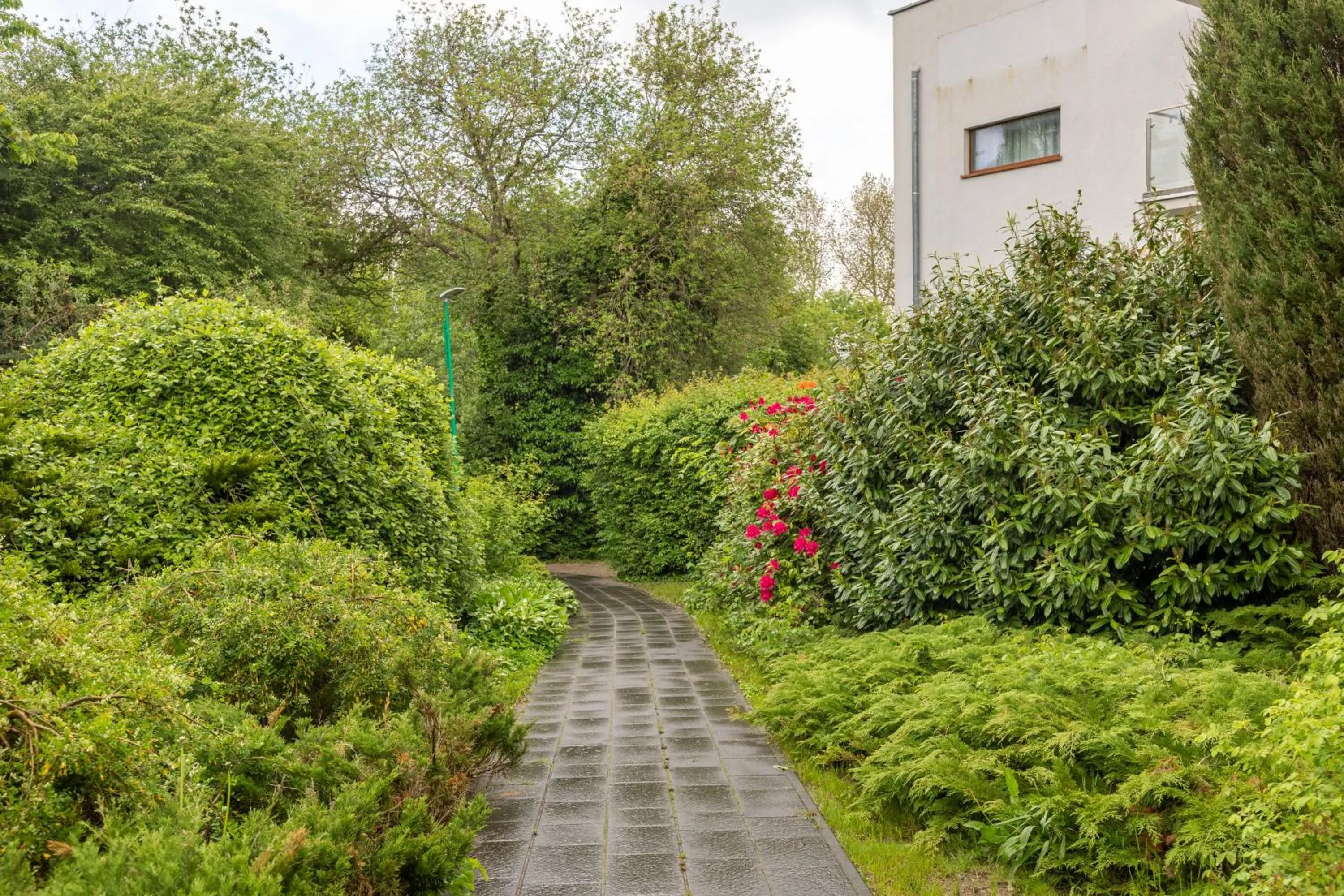 Garden in Seaside Apartamenty Dominikana I Sianożęty Basen&Jakuzzi&Parking