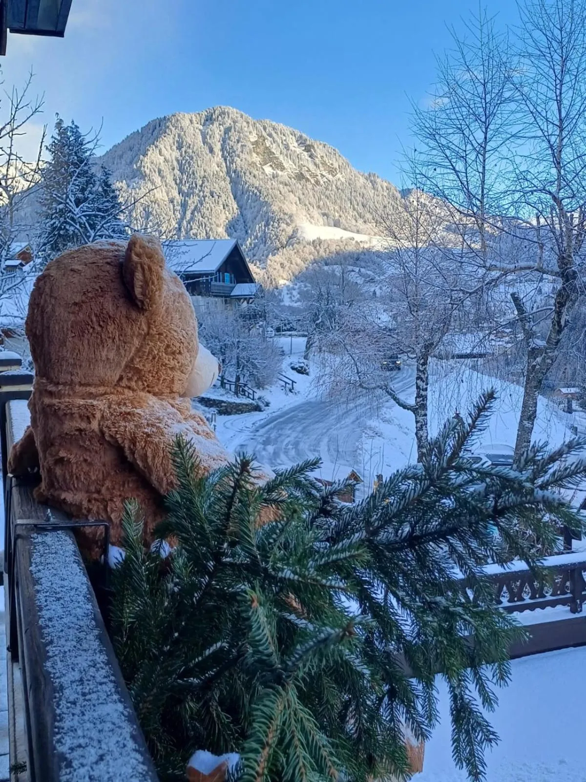 Chalet Appart'Hôtel l'Eau Vive