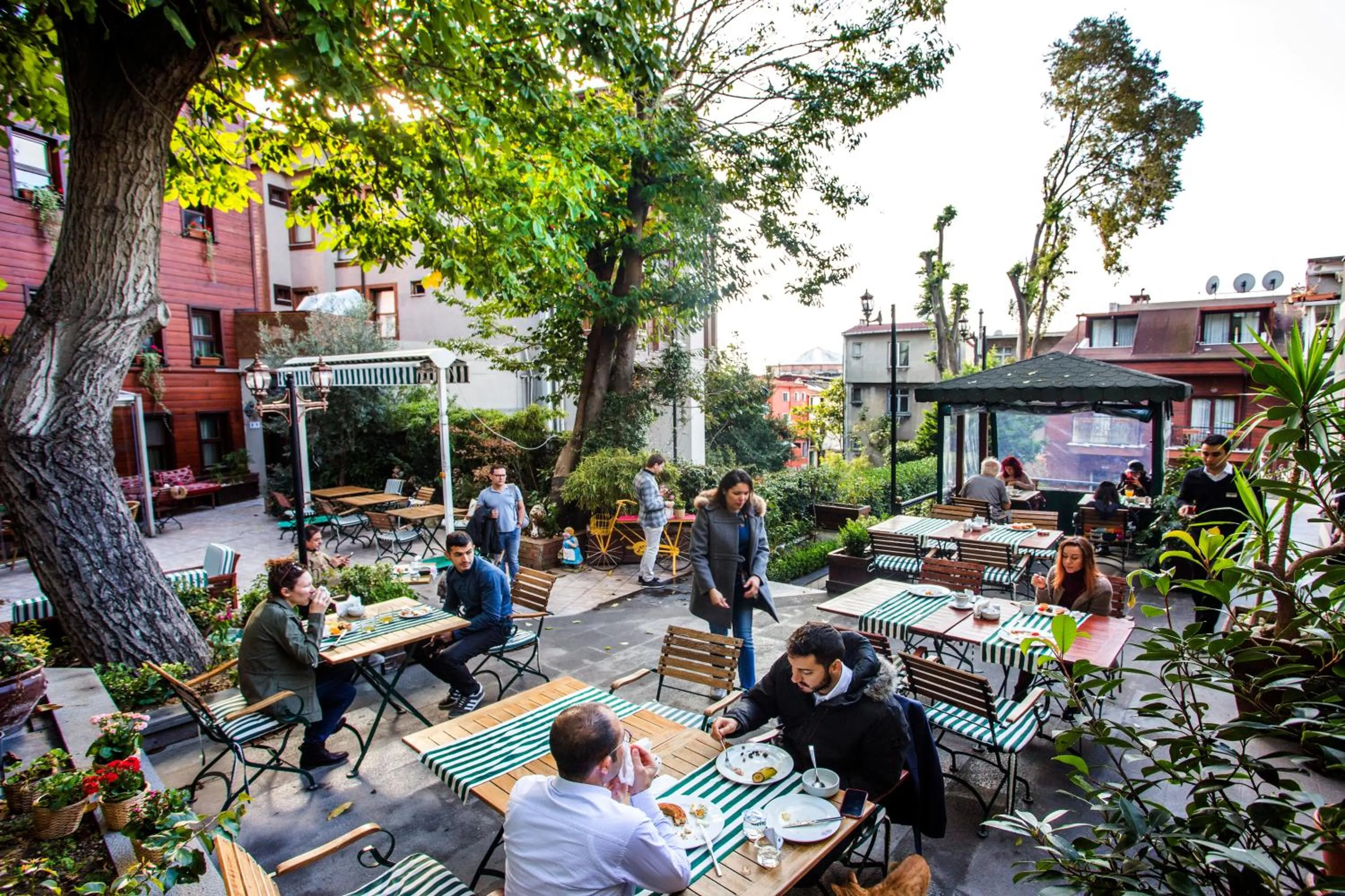 Restaurant/places to eat in Garden House Hotel - Special Class