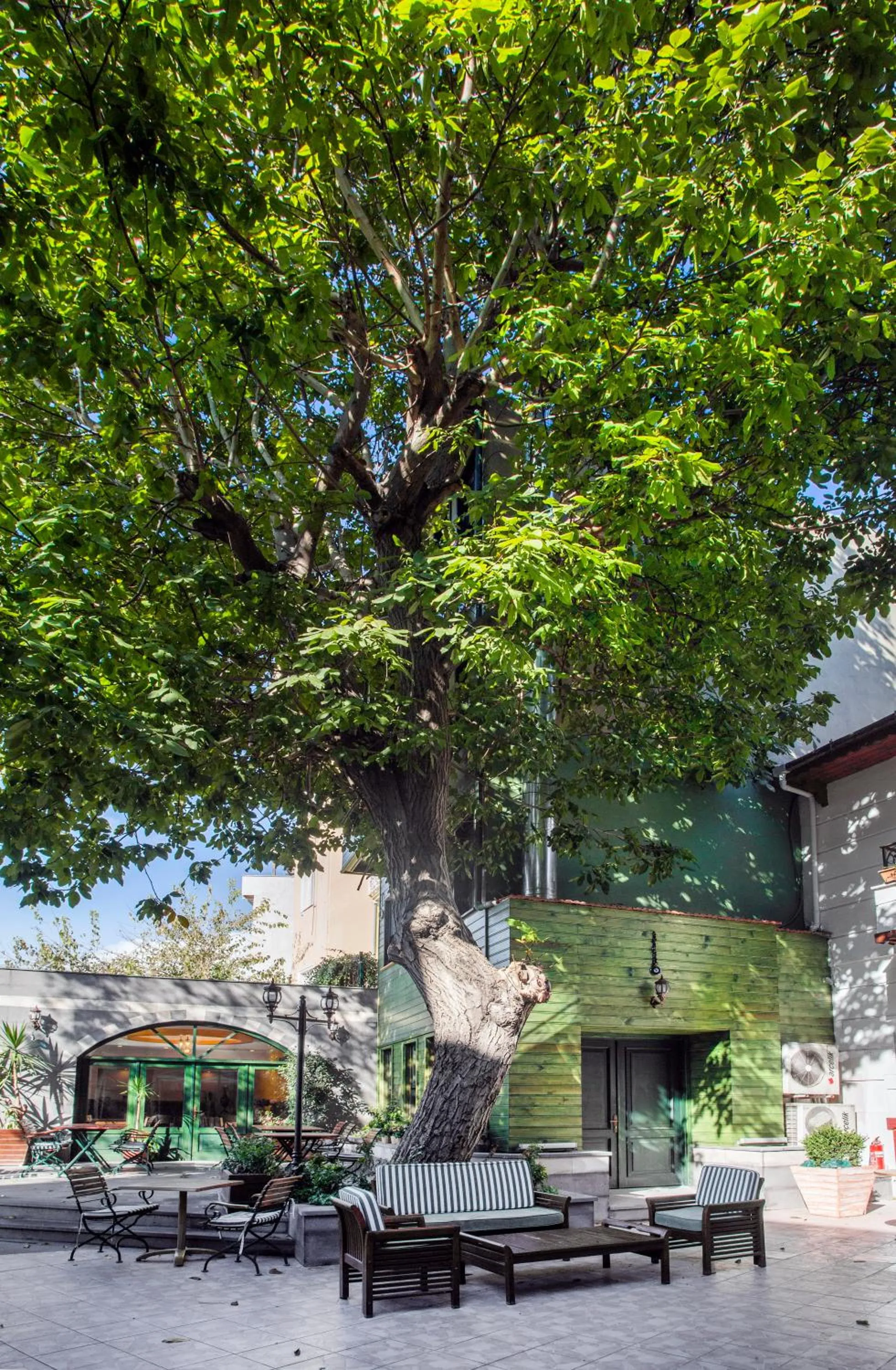 Restaurant/places to eat in Garden House Hotel - Special Class