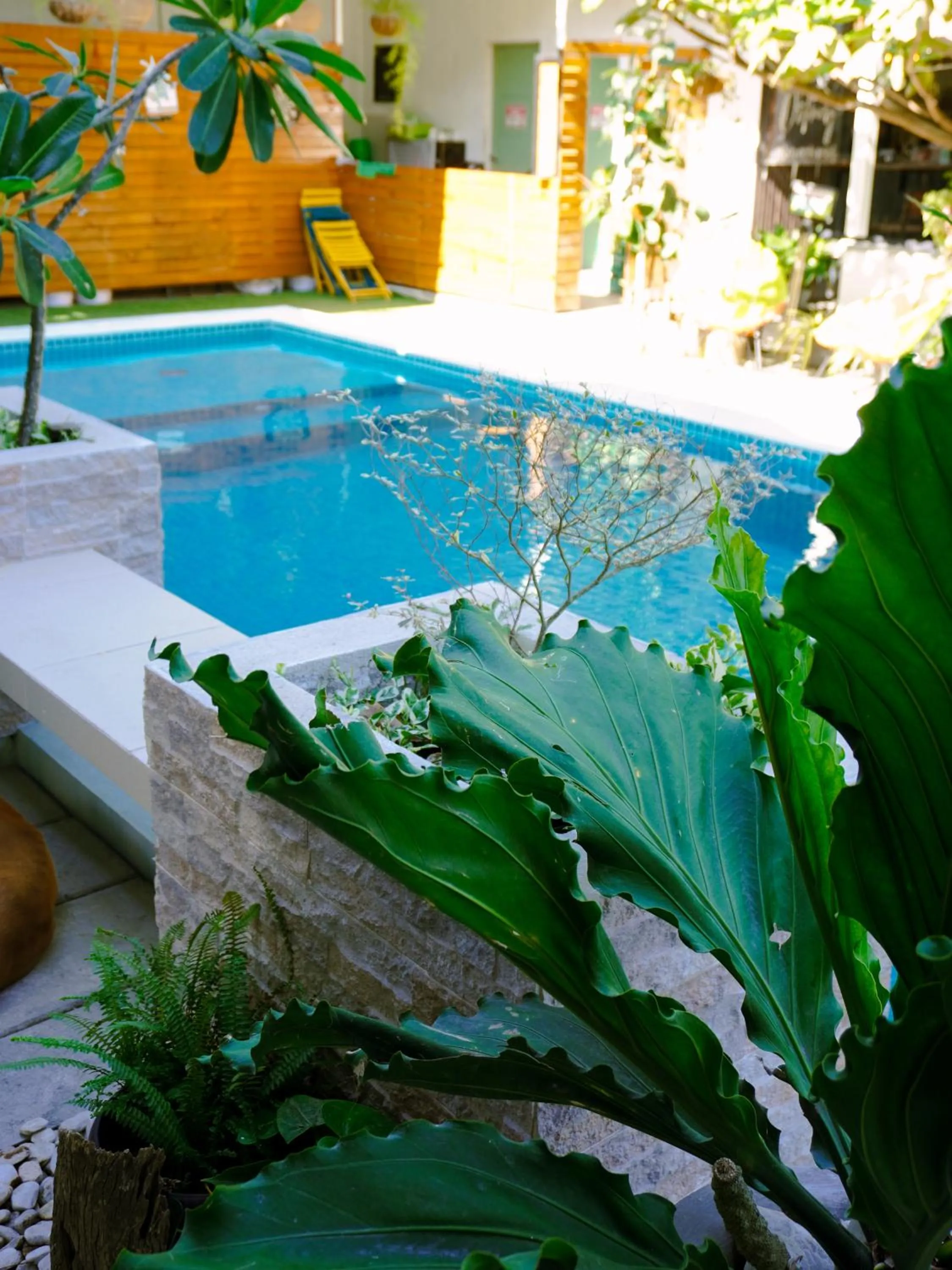 Garden in Urban Oasis Resort, Tarlac