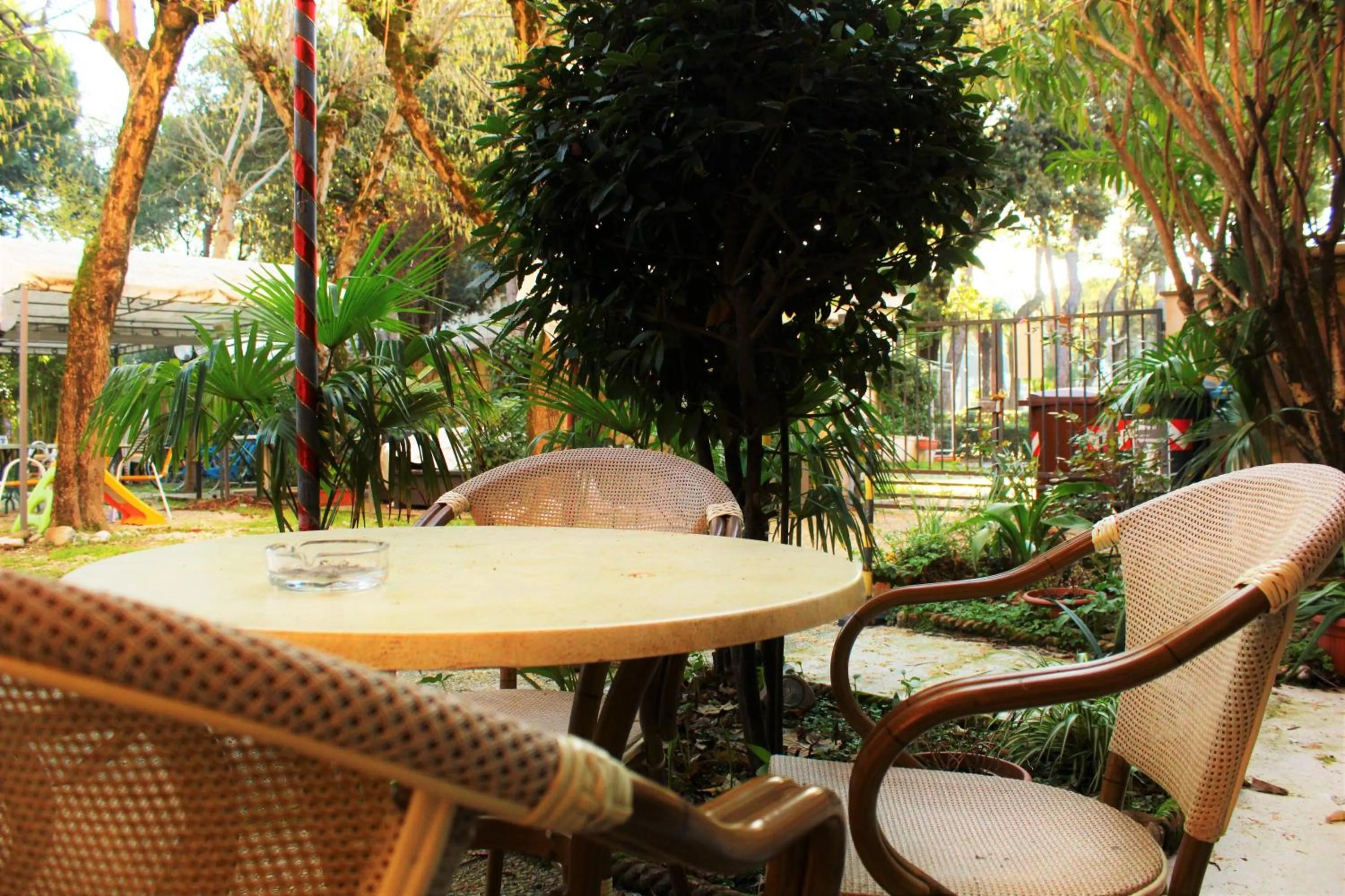 Garden in Hotel Roxy Floridiana