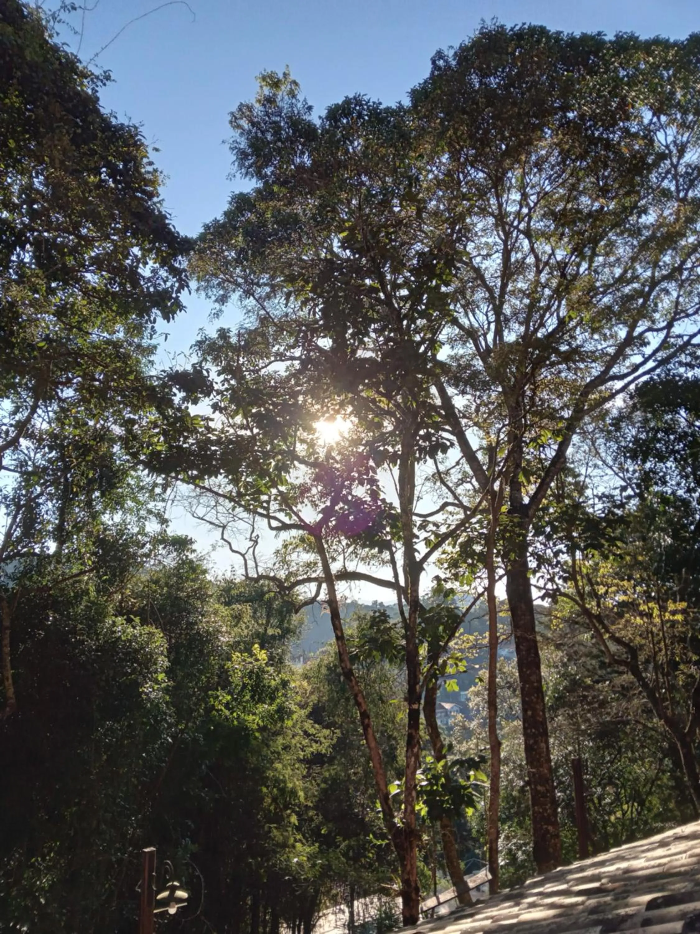 Garden view in Pousada Le Lieu