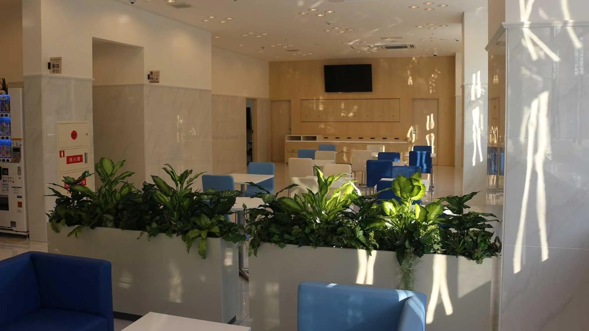 Lobby or reception in Toyoko Inn Saga Ekimae