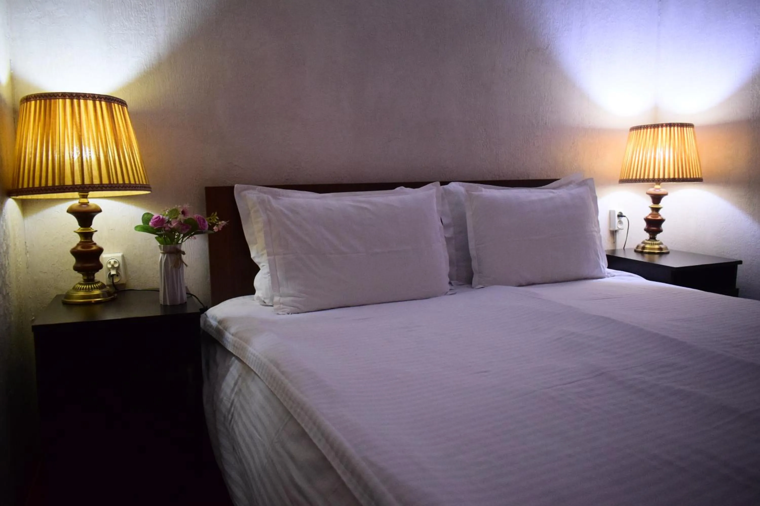 Bed in Hotel Registon Zargaron