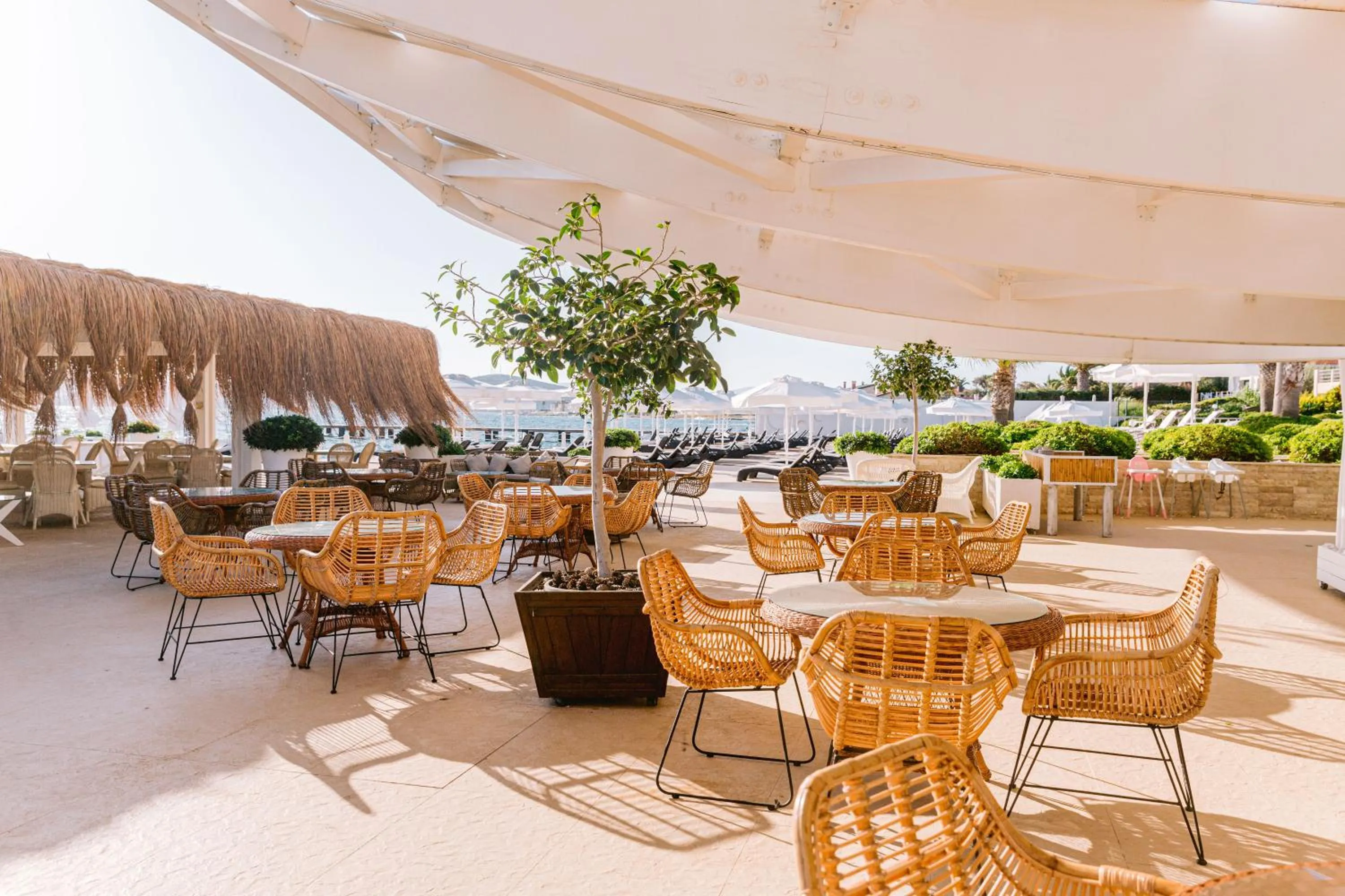 Restaurant/places to eat in Ilica Hotel Spa & Wellness Resort