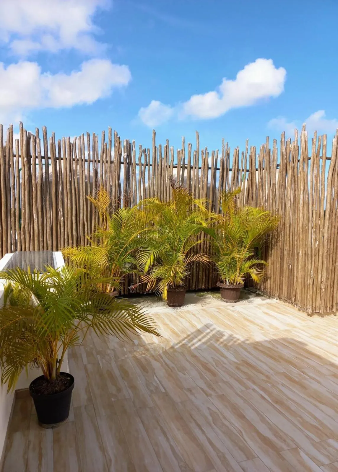 Natural landscape in Cozy and spacious apartment by Tulum 10