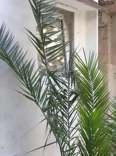 apartmani NEDO