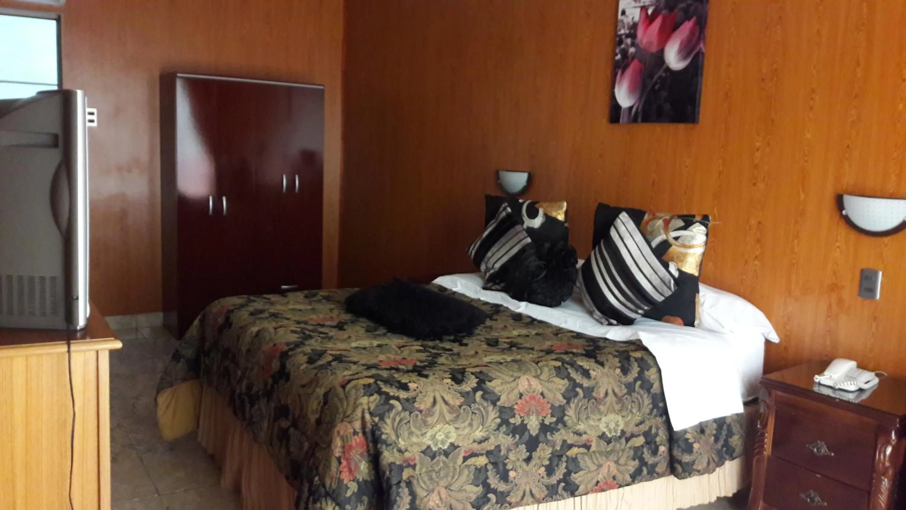 Photo of the whole room, Bed in Hotel Costa Pacifico