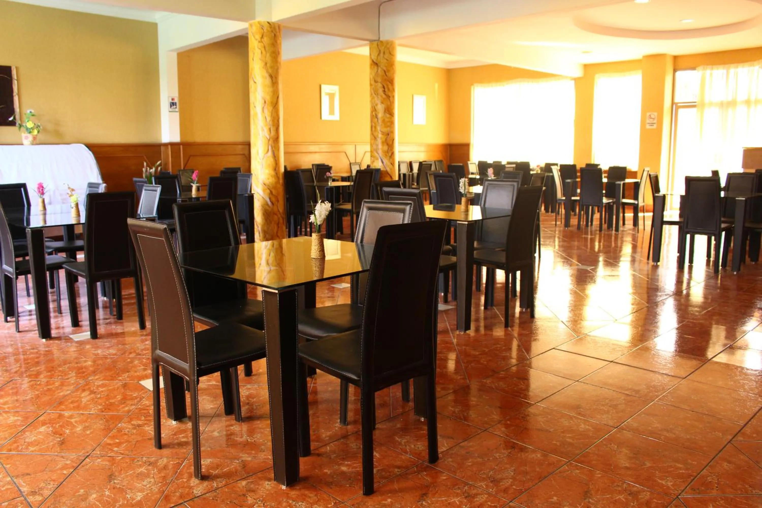 Lounge or bar in Hotel Costa Pacifico