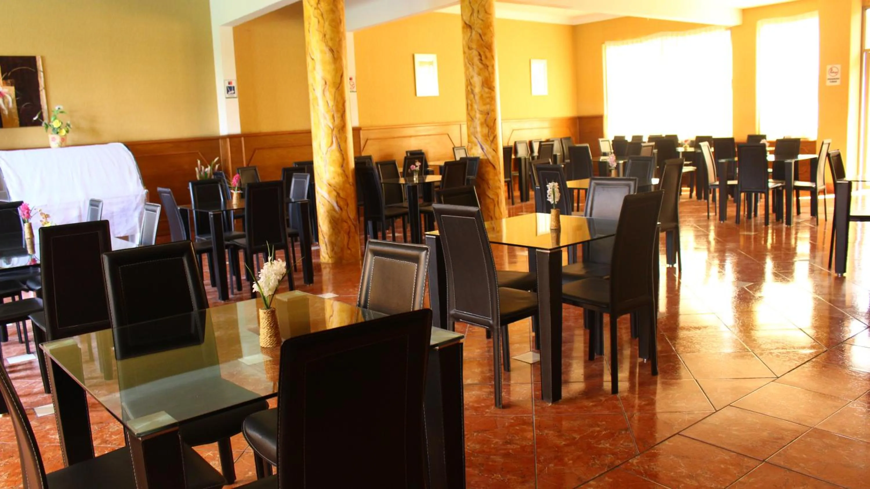 Lounge or bar in Hotel Costa Pacifico