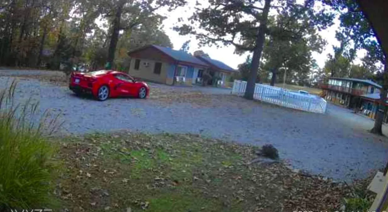 Driftwood Resort Bull Shoals