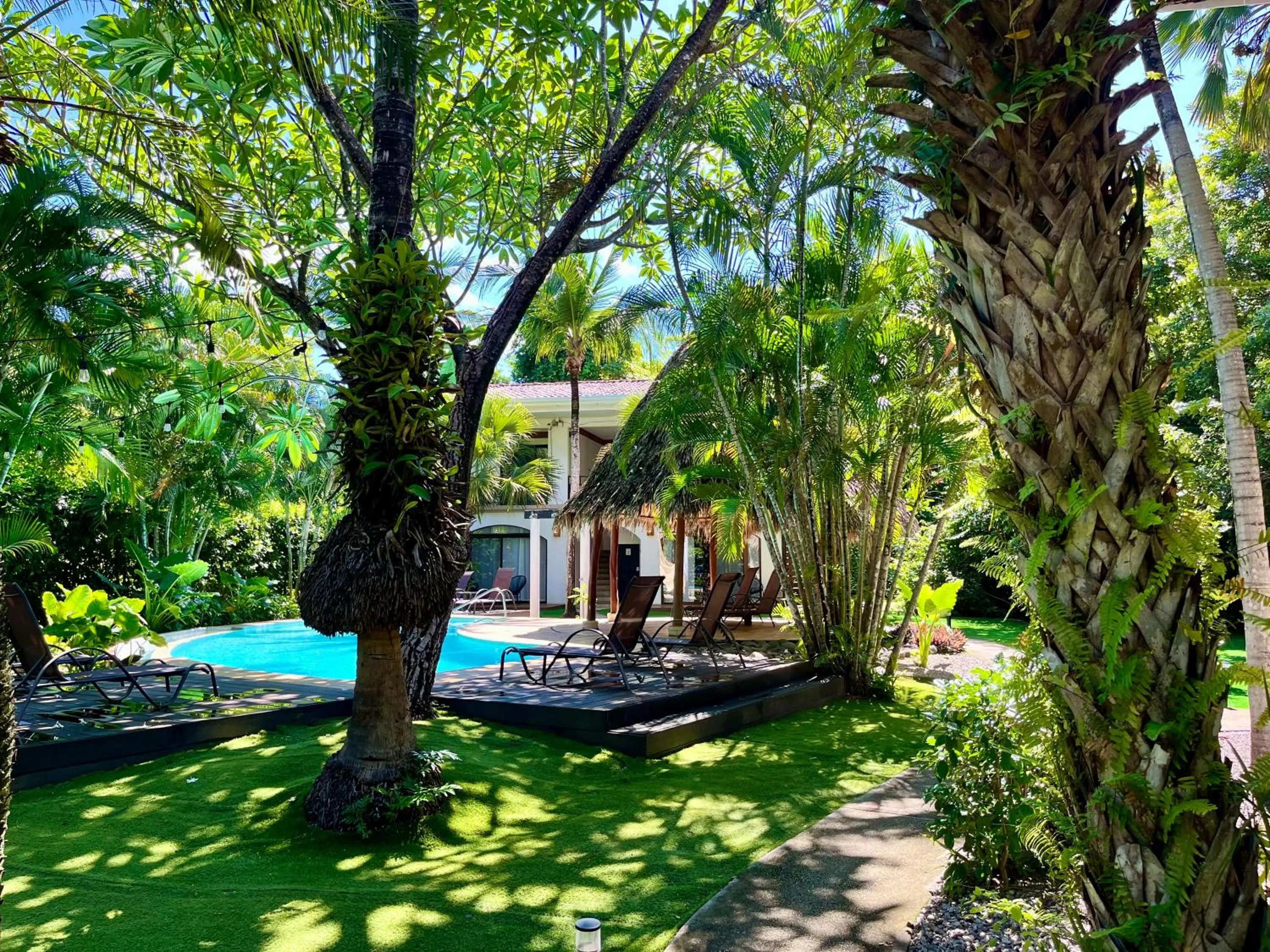 Natural landscape in Hotel El Manglar y Cantarana