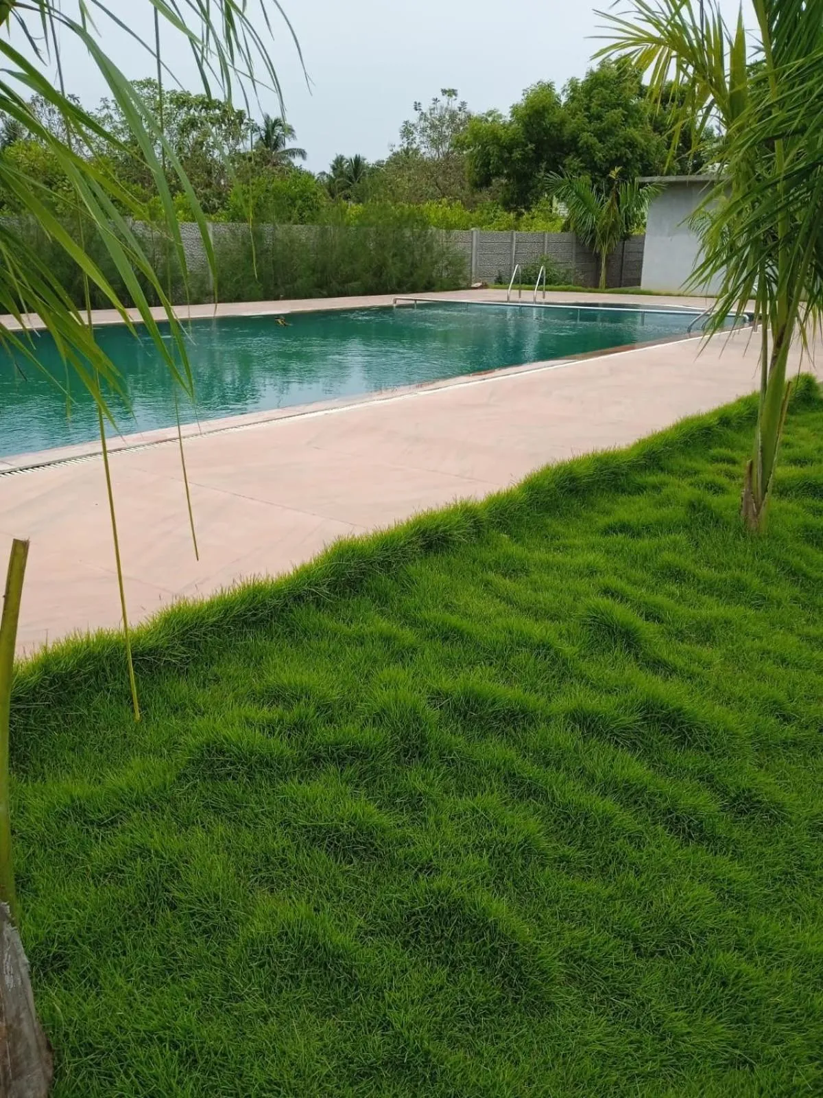 Natural landscape in Paradise Forest Resort