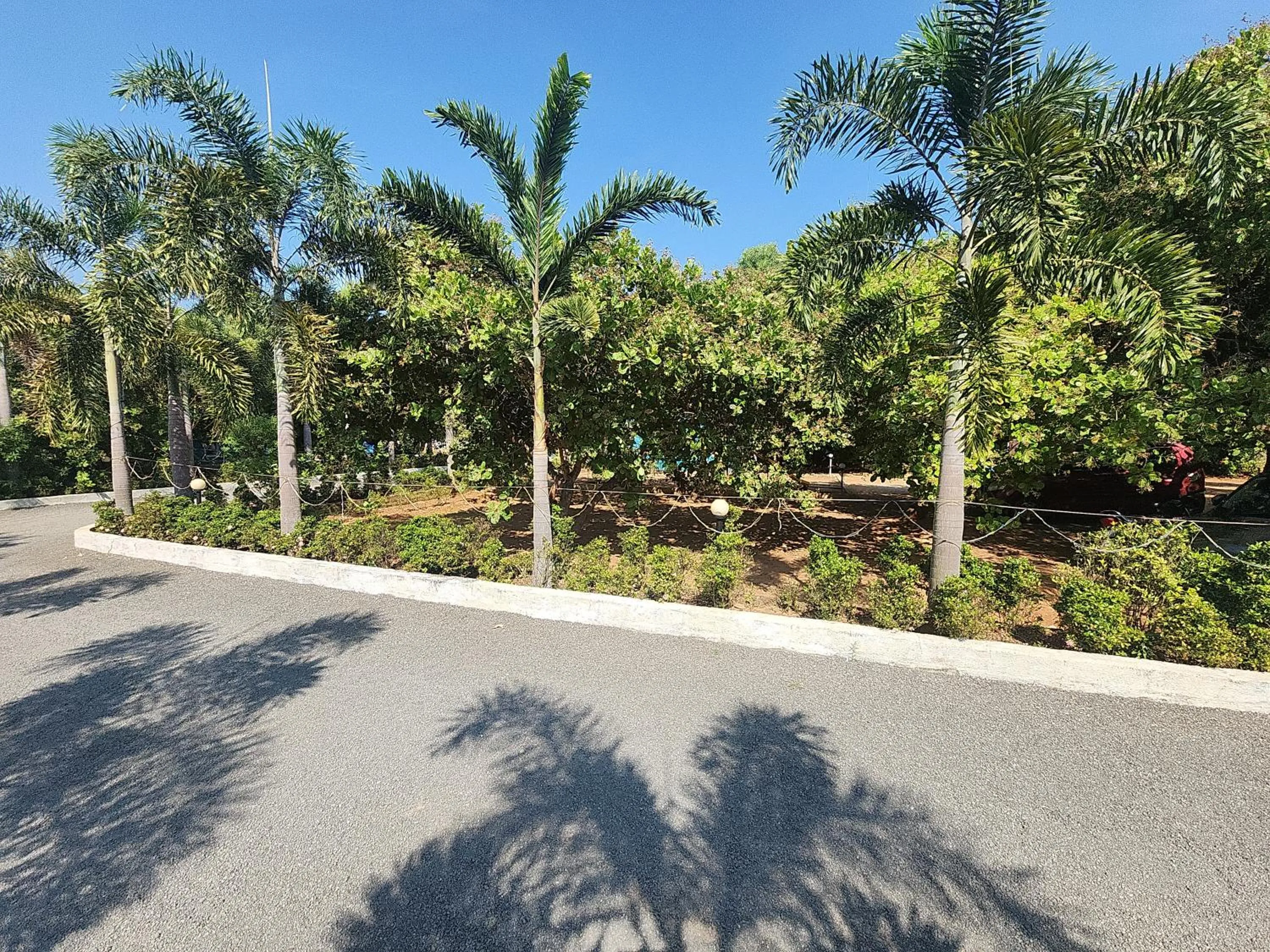 Parking in Paradise Forest Resort