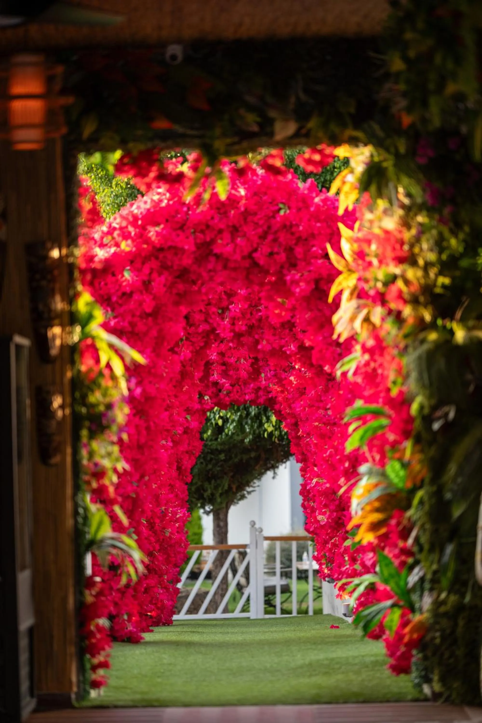 Spring in Palmonte Suites Hotel & SPA