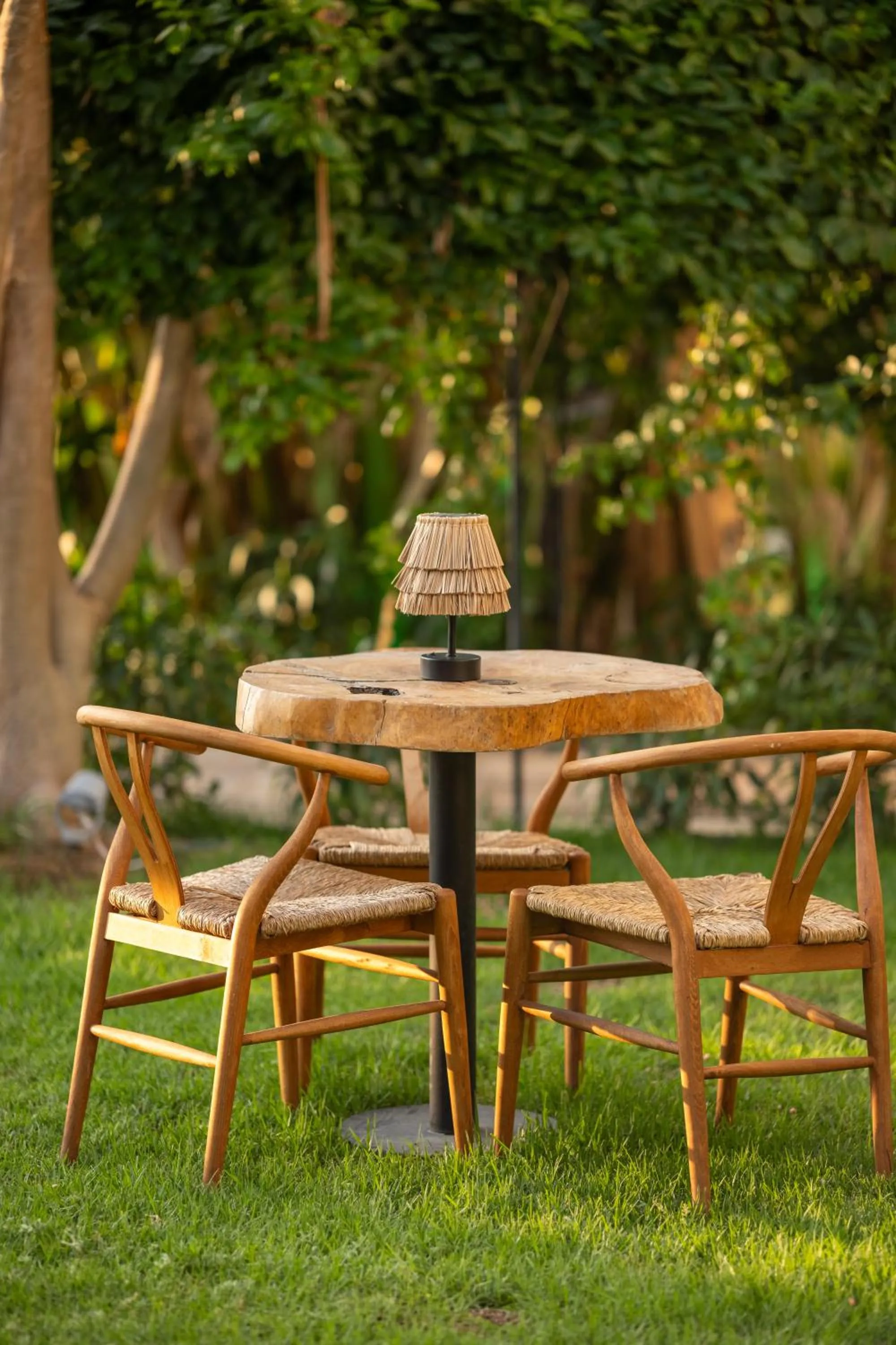 Spring in Palmonte Suites Hotel & SPA