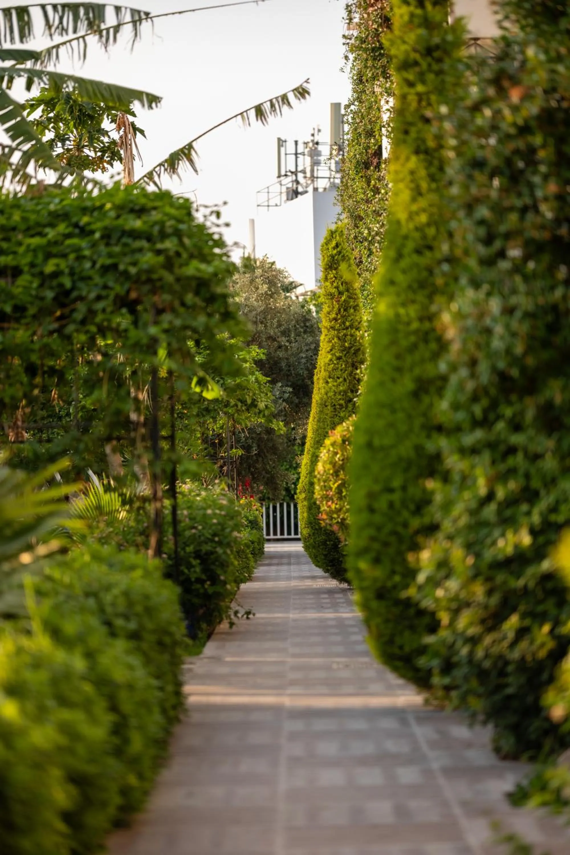 Spring in Palmonte Suites Hotel & SPA