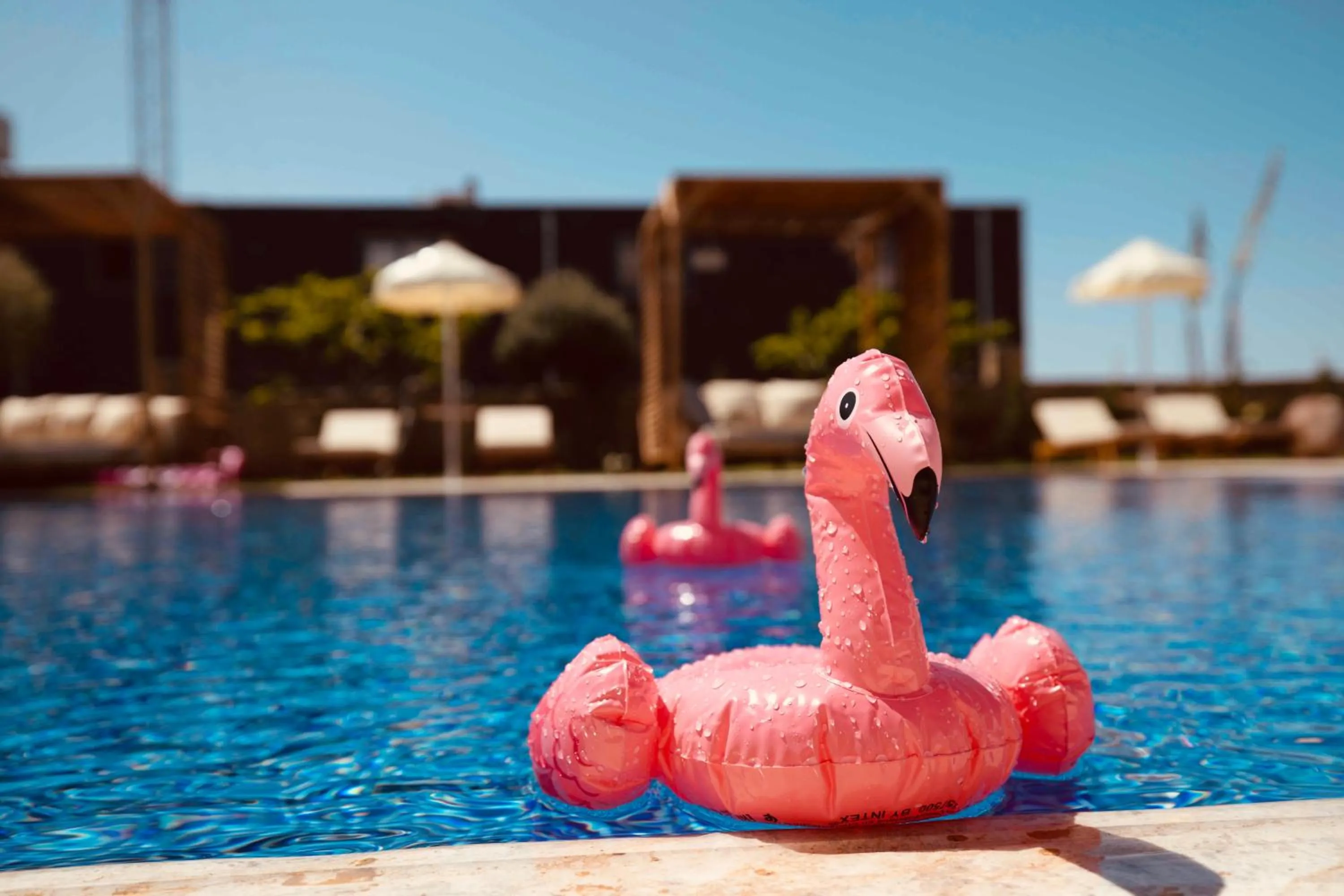 Day in Palmonte Suites Hotel & SPA