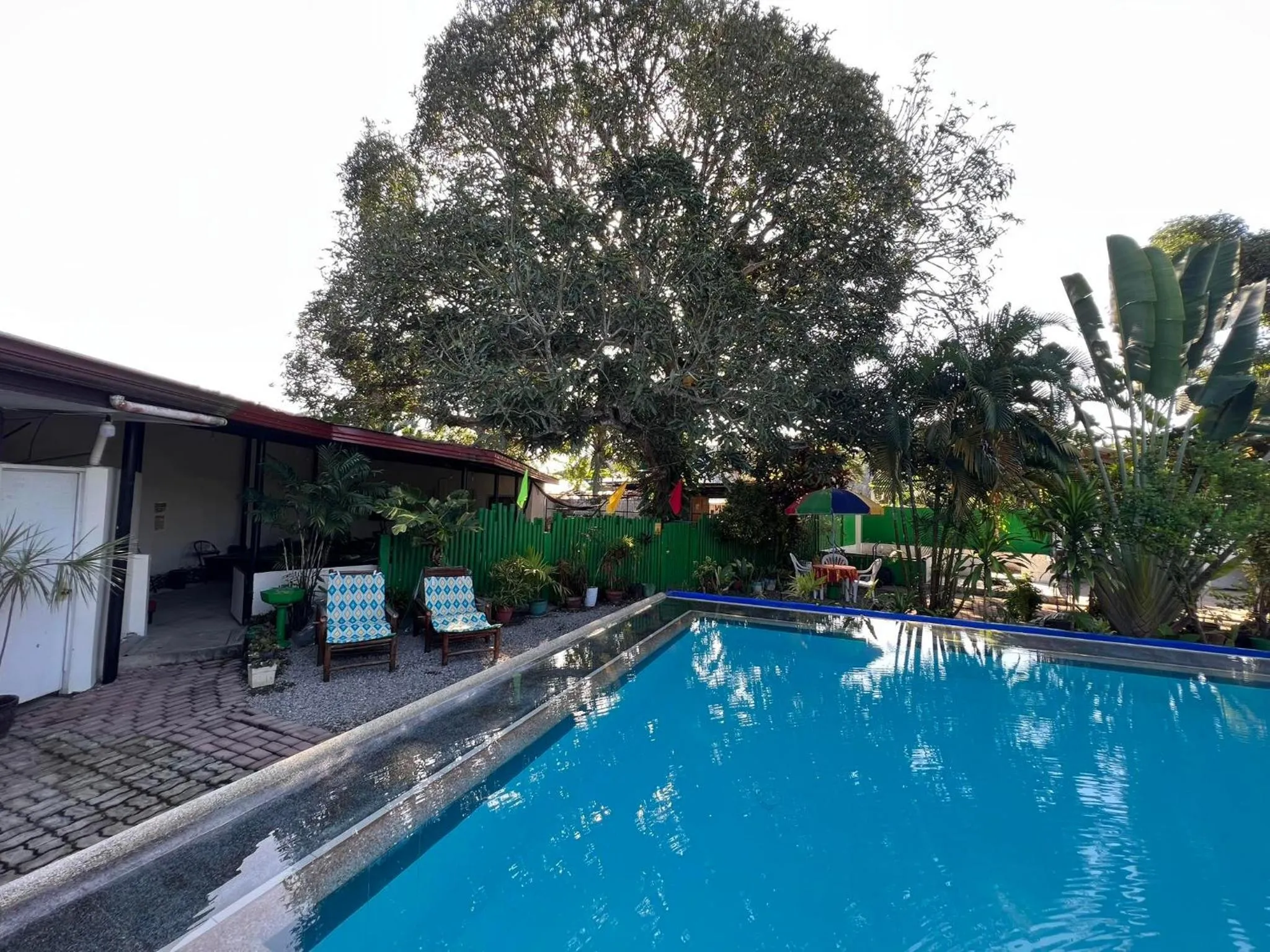 Swimming pool in Ice Bear Bar & Tourist Inn