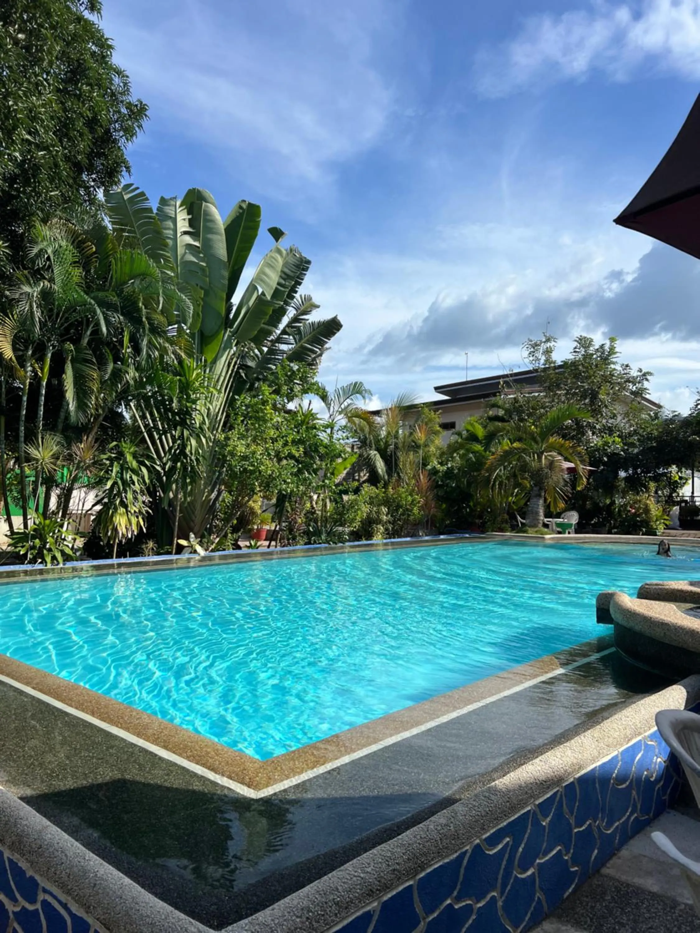 Ice Bear Bar & Tourist Inn