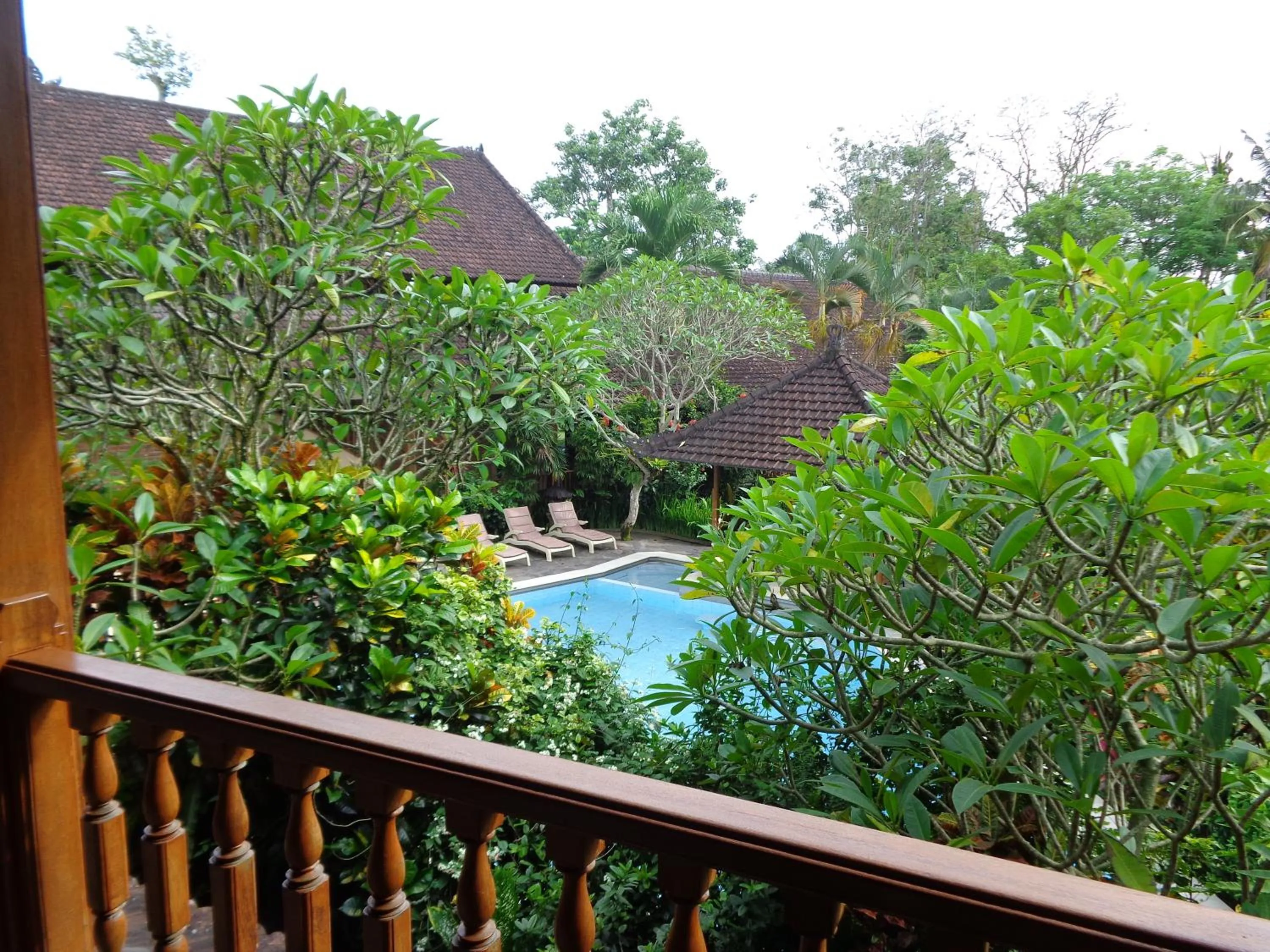 Swimming pool in Klub Kokos Bungalows