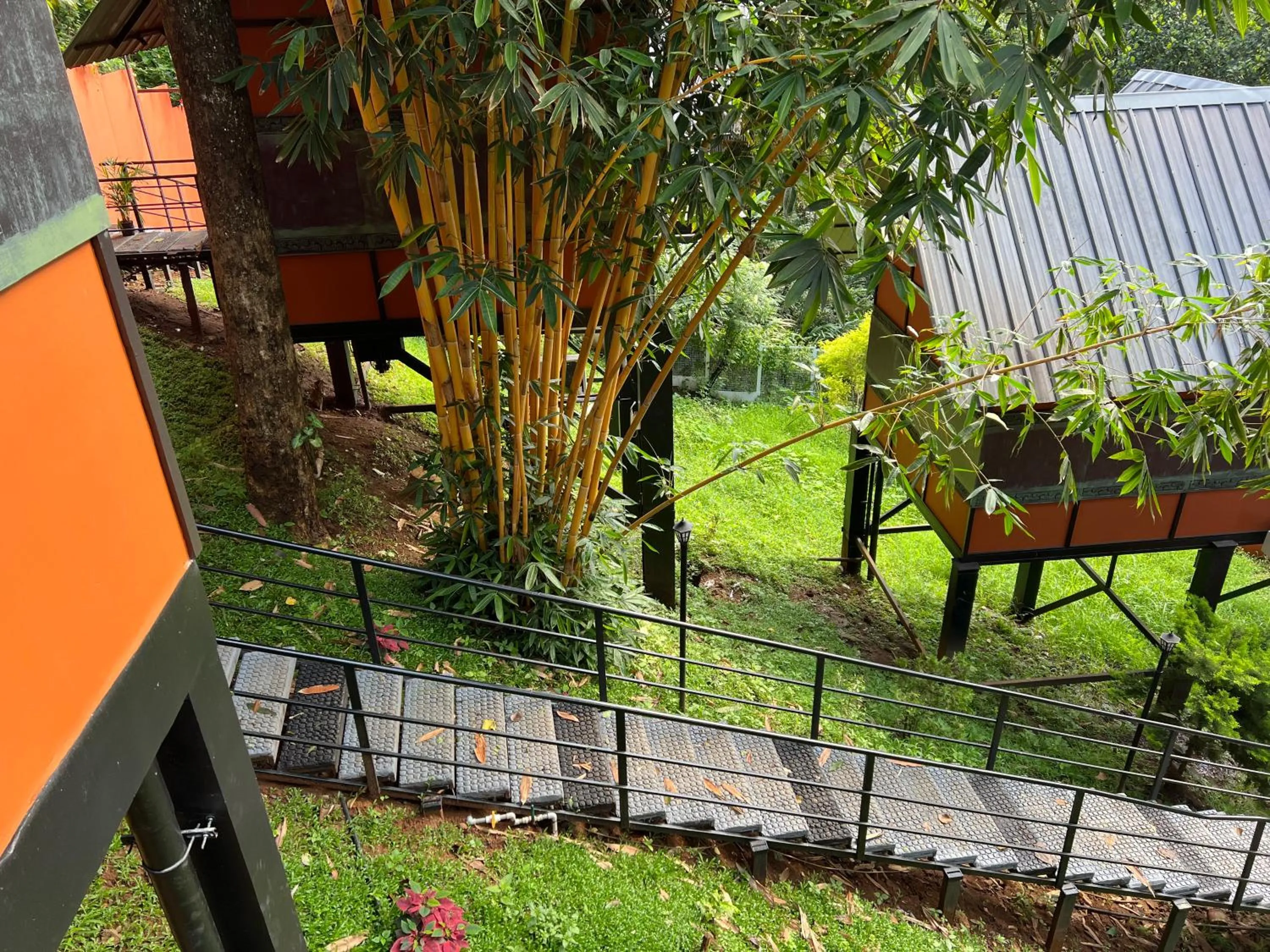 Natural landscape in Santhi Hill View Resort