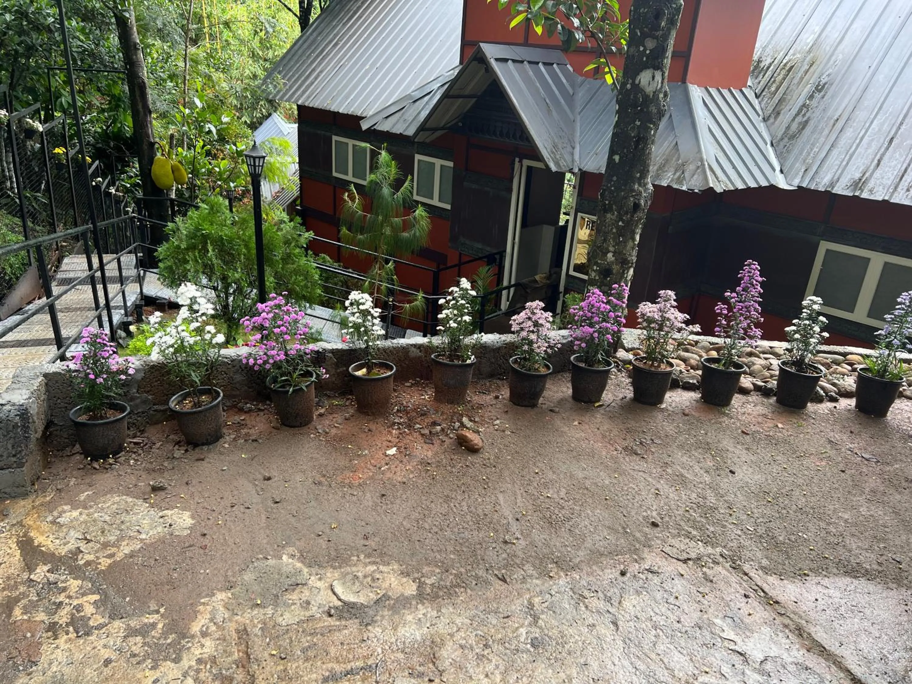 Restaurant/places to eat in Santhi Hill View Resort