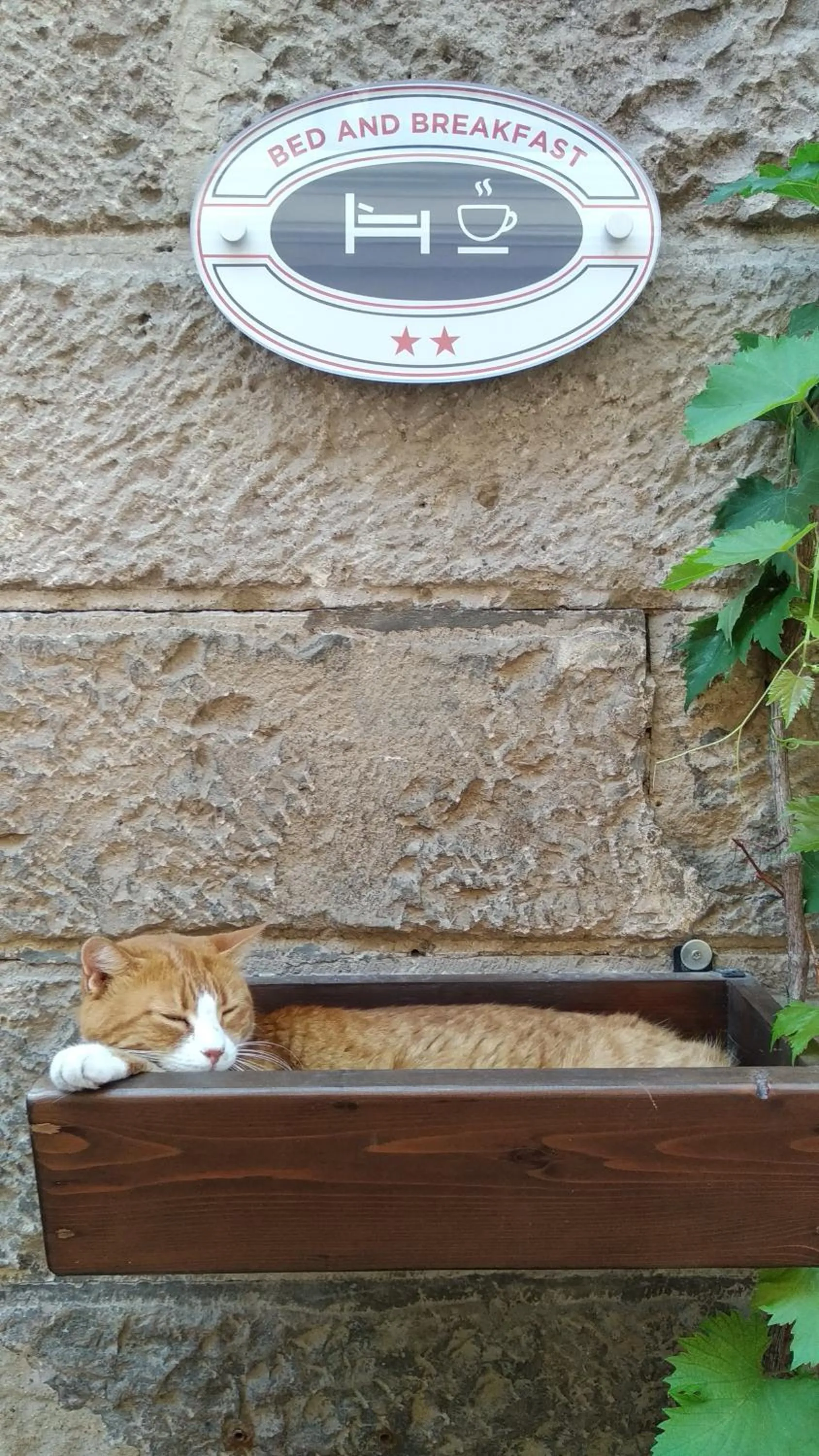 Biddanòa Affittacamere