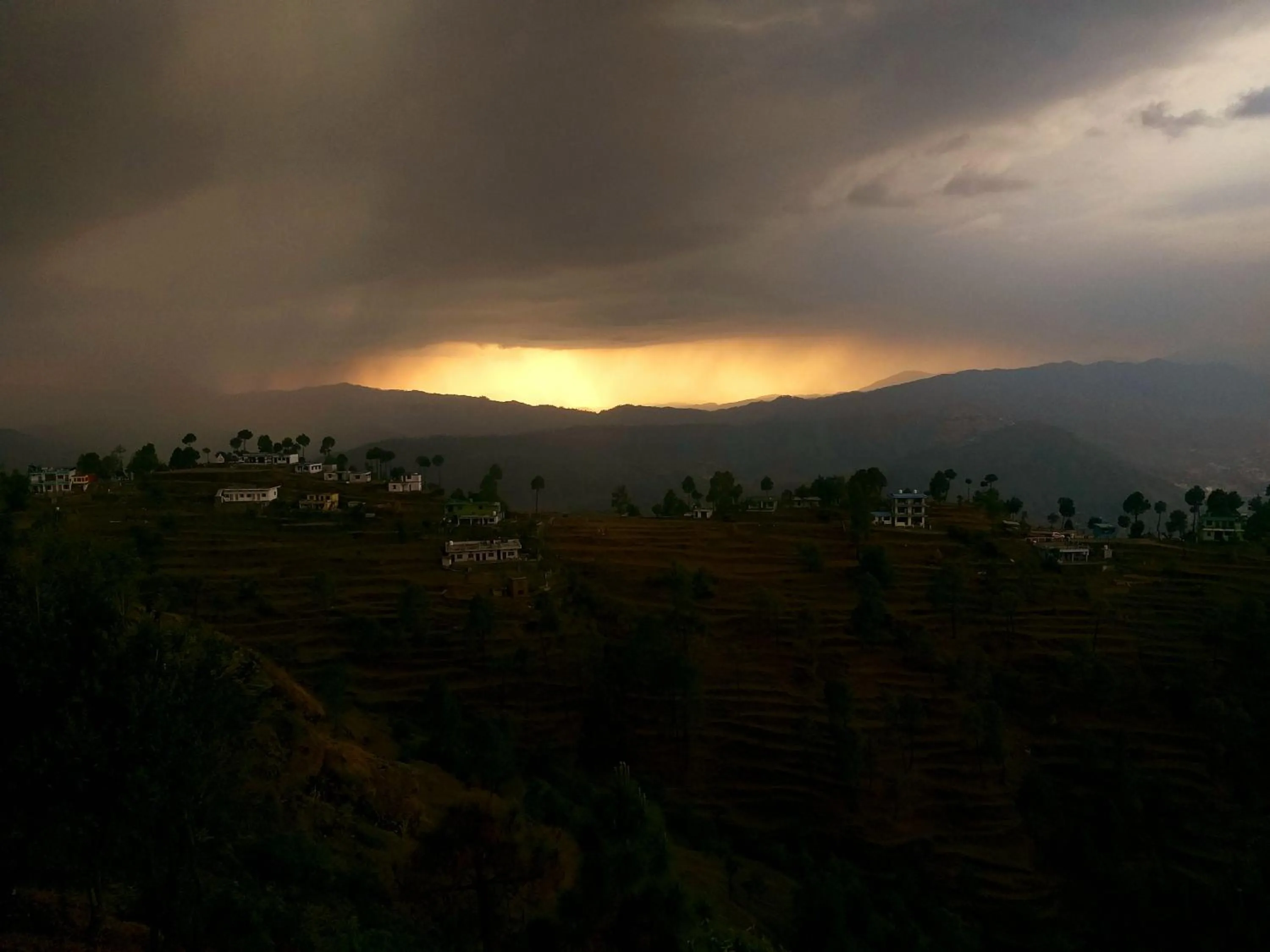 Natural landscape in Traveller Hive Kasar Devi