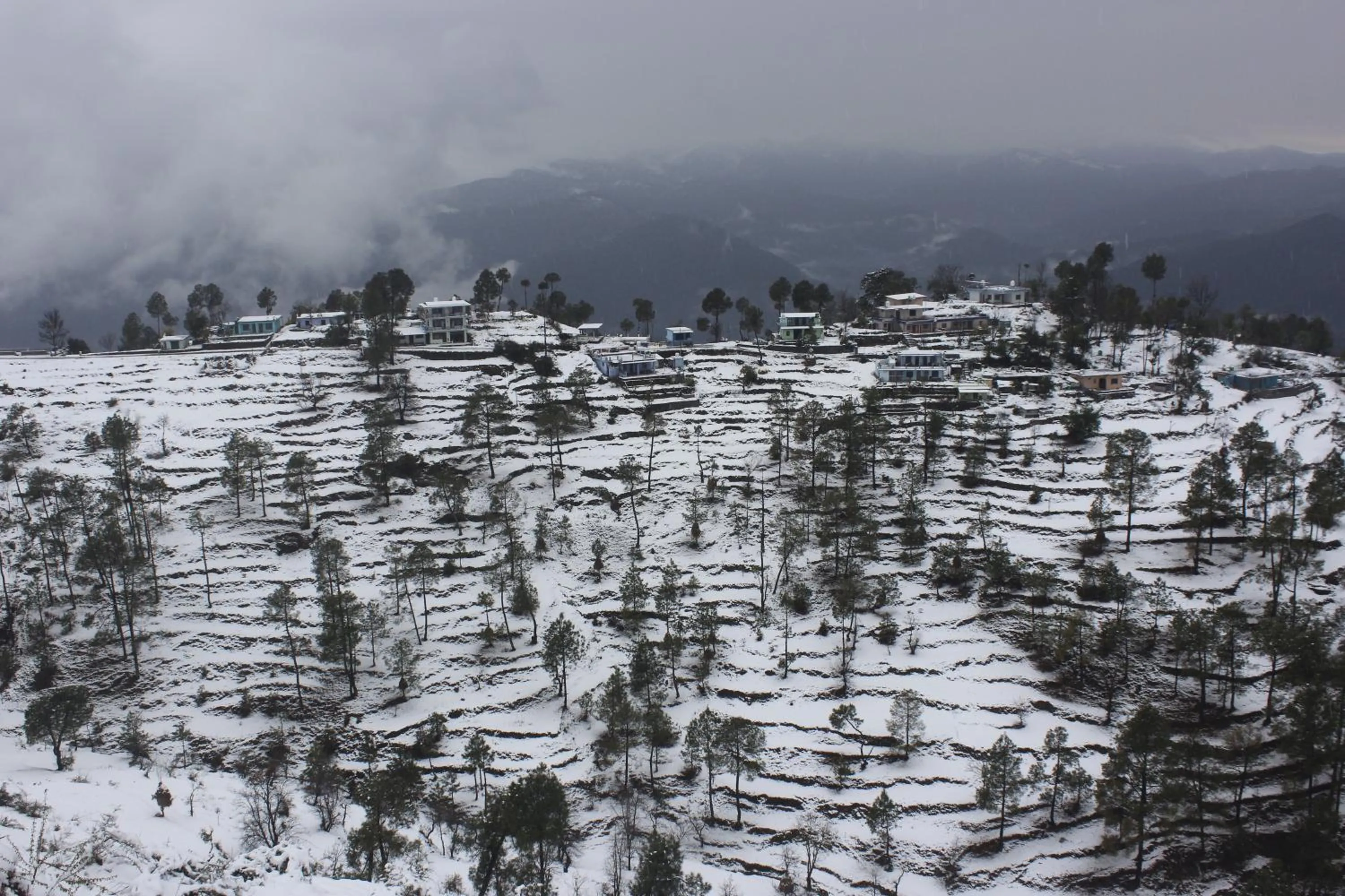 Natural landscape in Traveller Hive Kasar Devi