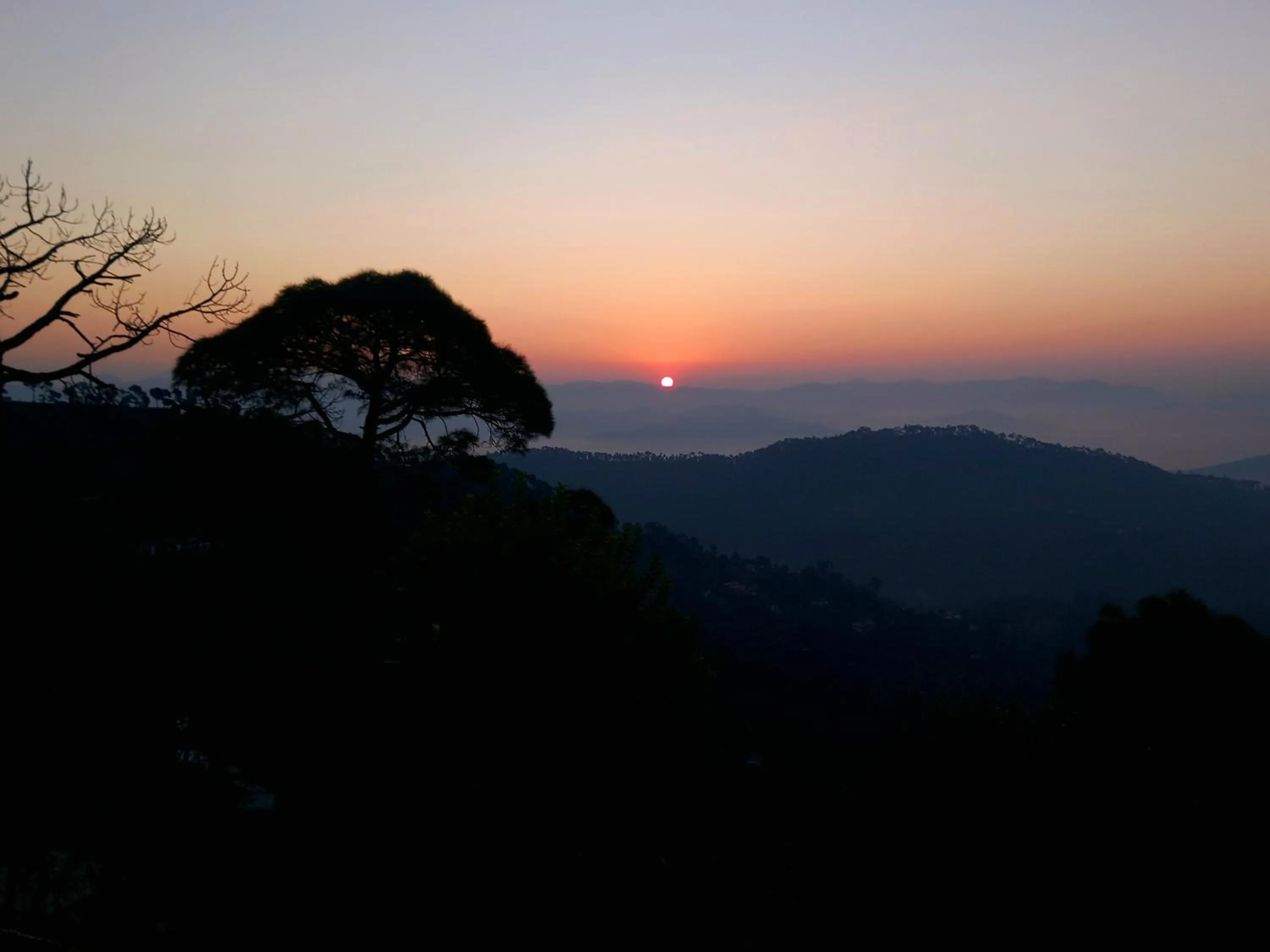 Natural landscape in Traveller Hive Kasar Devi