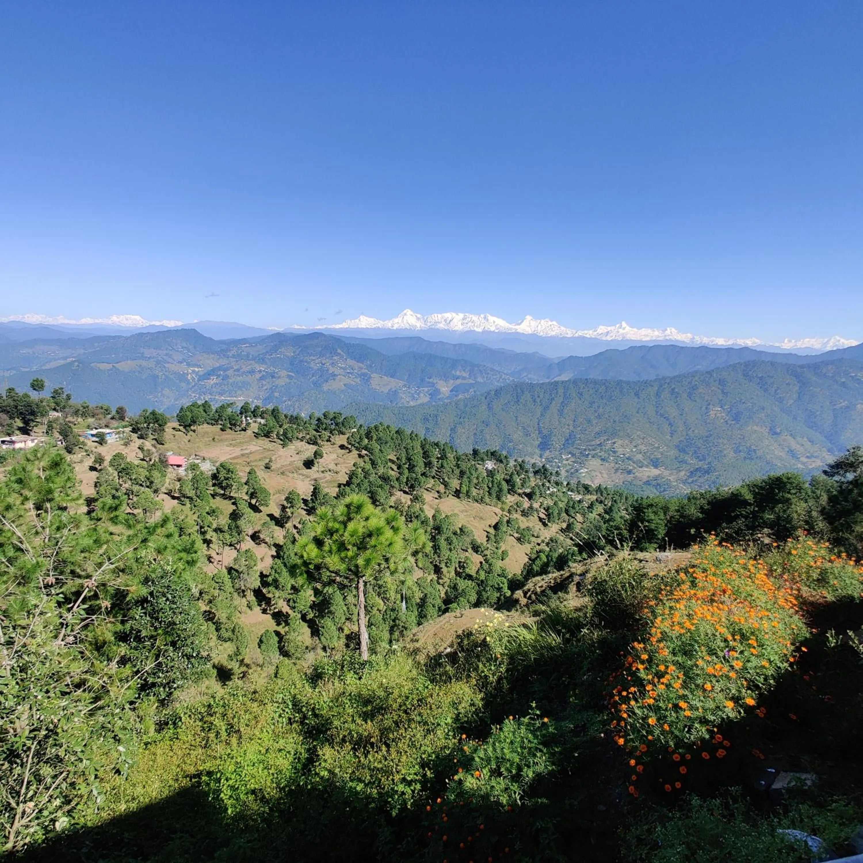 Nearby landmark in Traveller Hive Kasar Devi