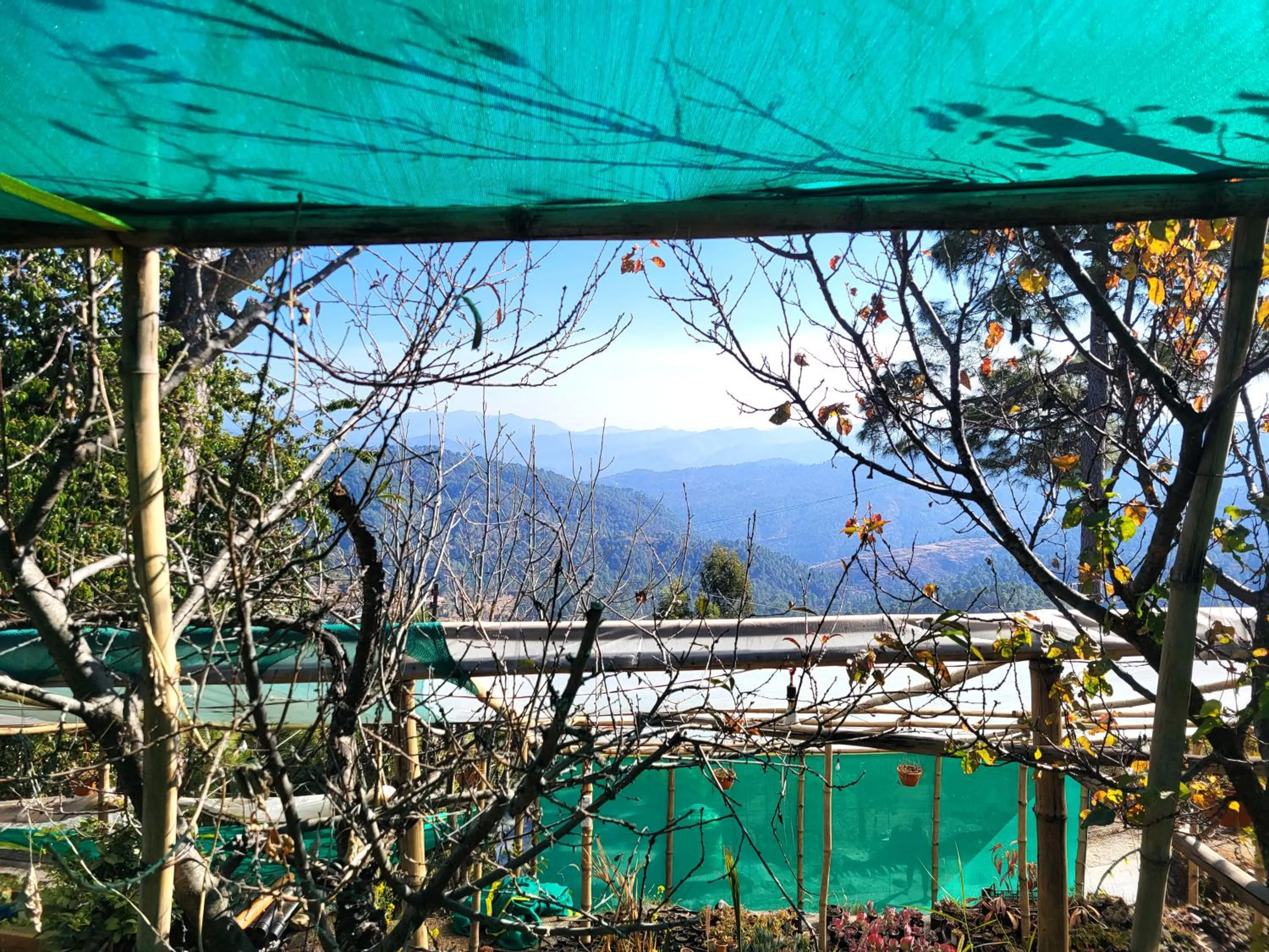 Traveller Hive Kasar Devi