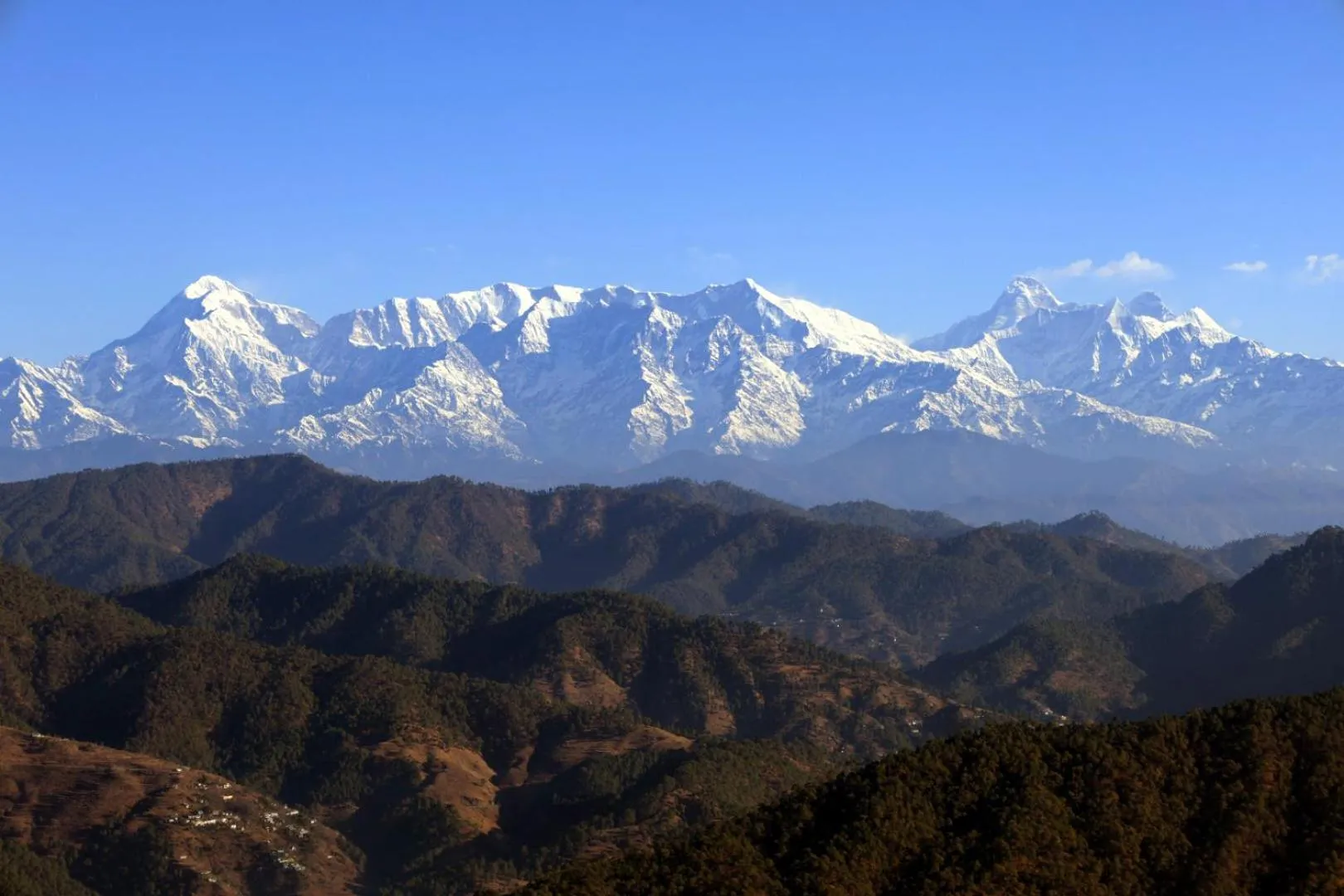 Mountain view in Traveller Hive Kasar Devi