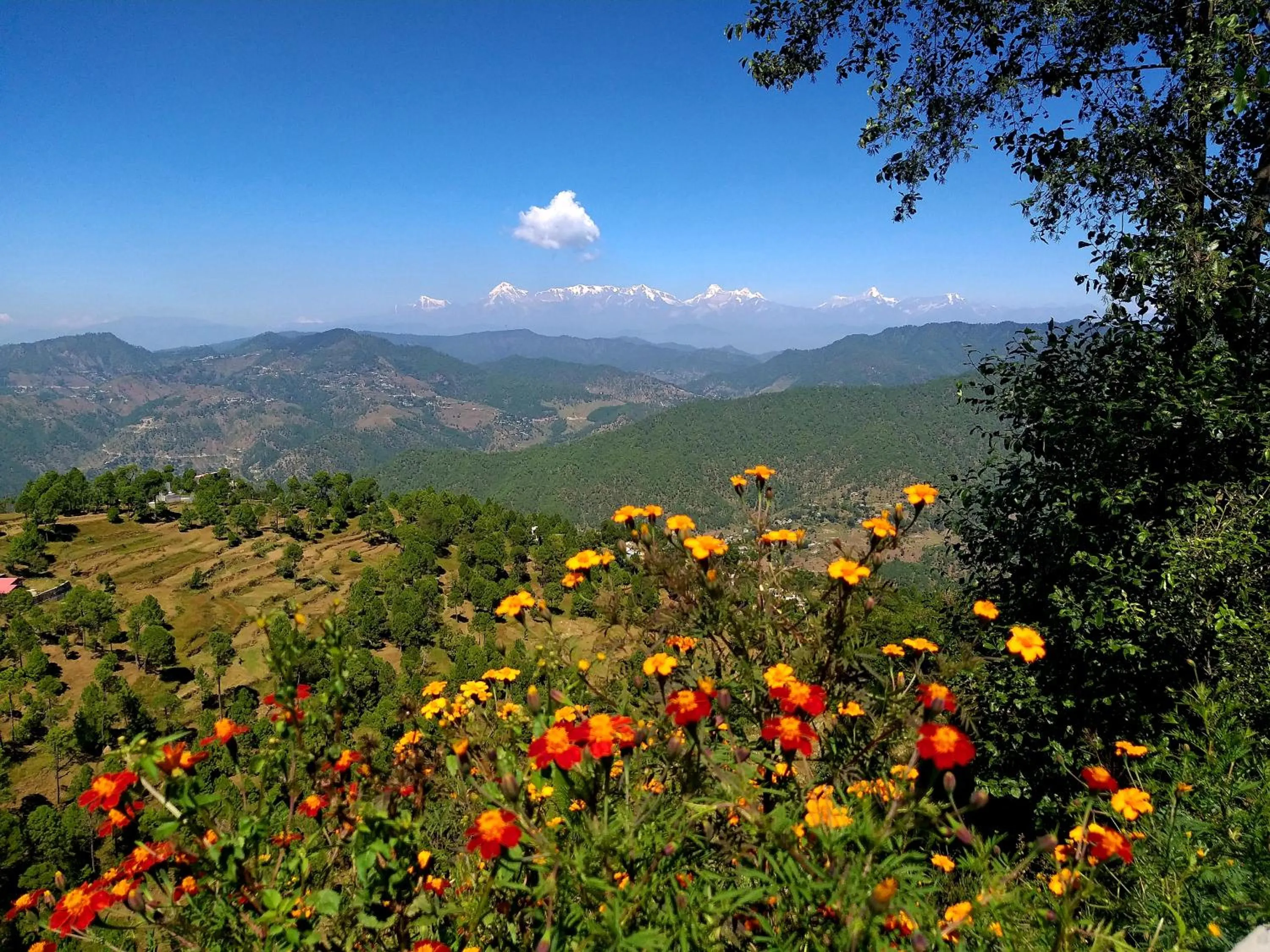 Mountain view in Traveller Hive Kasar Devi