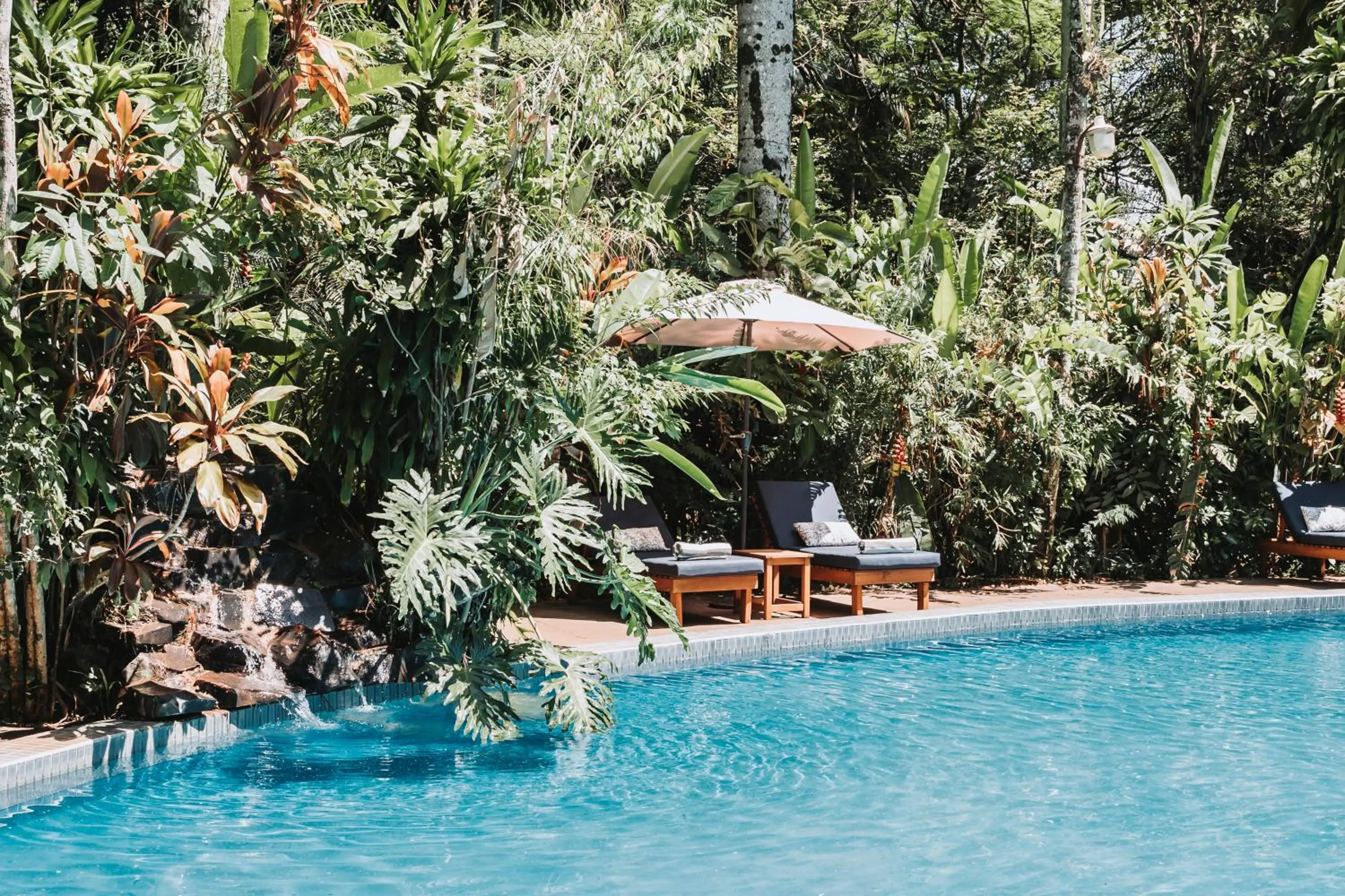 Pool view in Overo Lodge & Selva