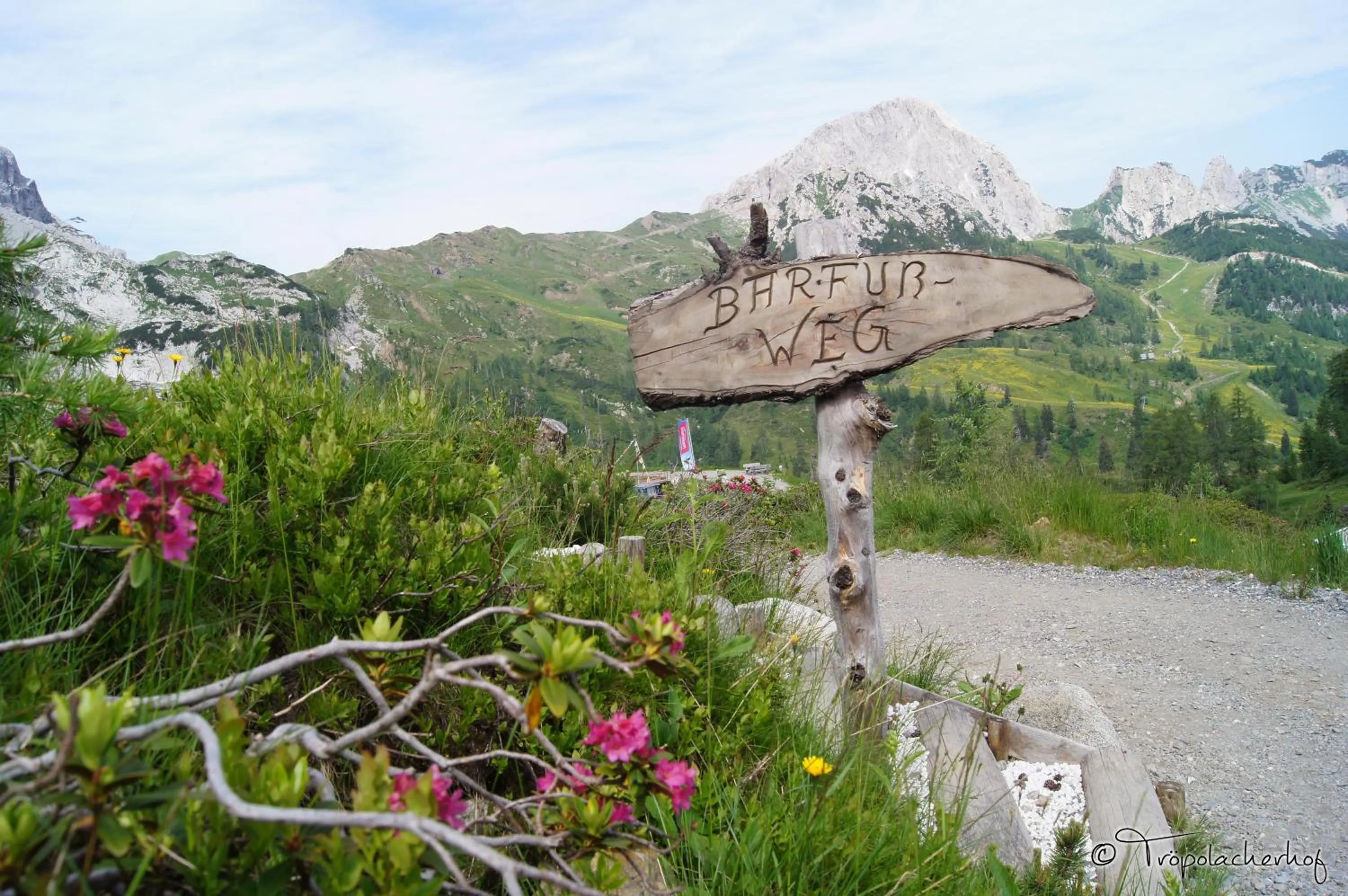 Hiking in Der Tröpolacherhof Hotel & Restaurant