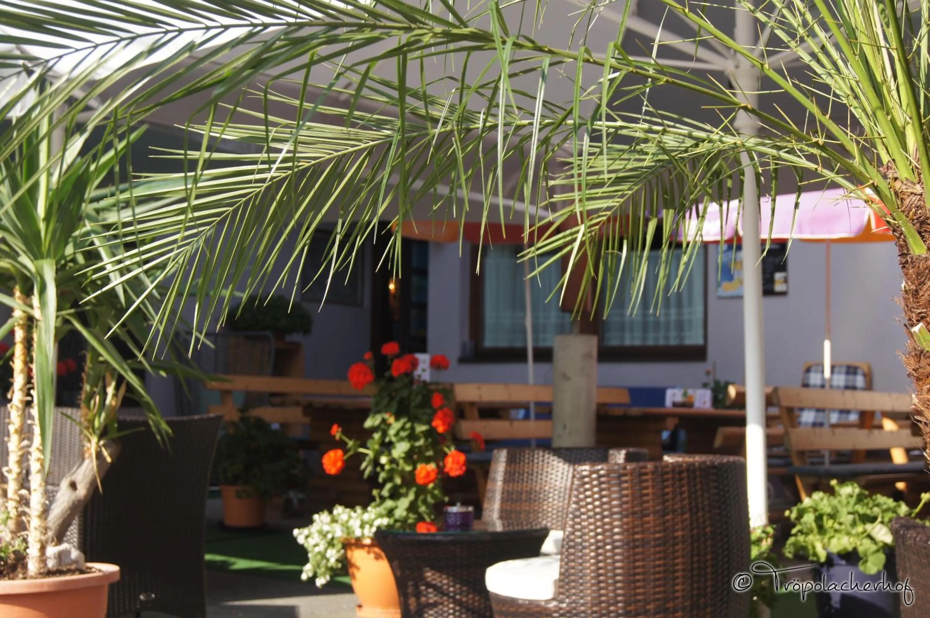 Restaurant/places to eat in Der Tröpolacherhof Hotel & Restaurant