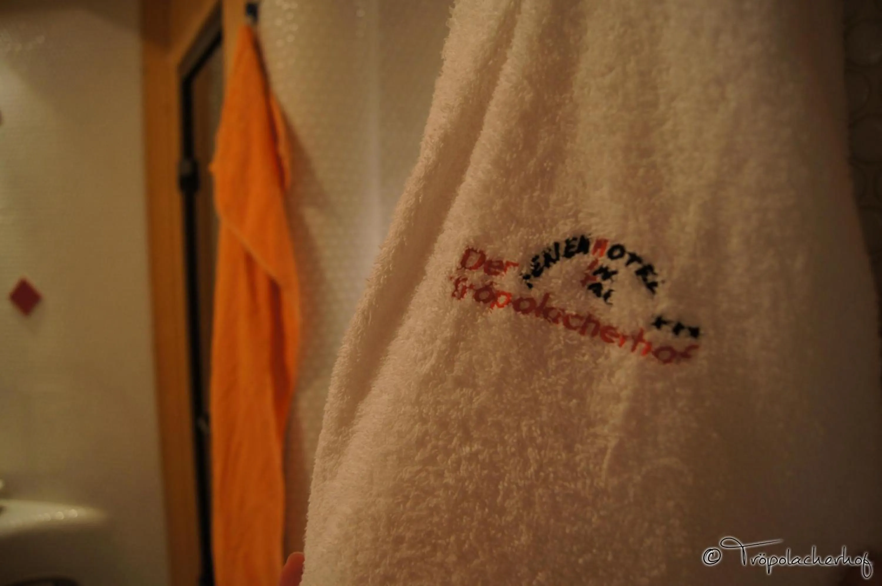 Spa and wellness centre/facilities in Der Tröpolacherhof Hotel & Restaurant