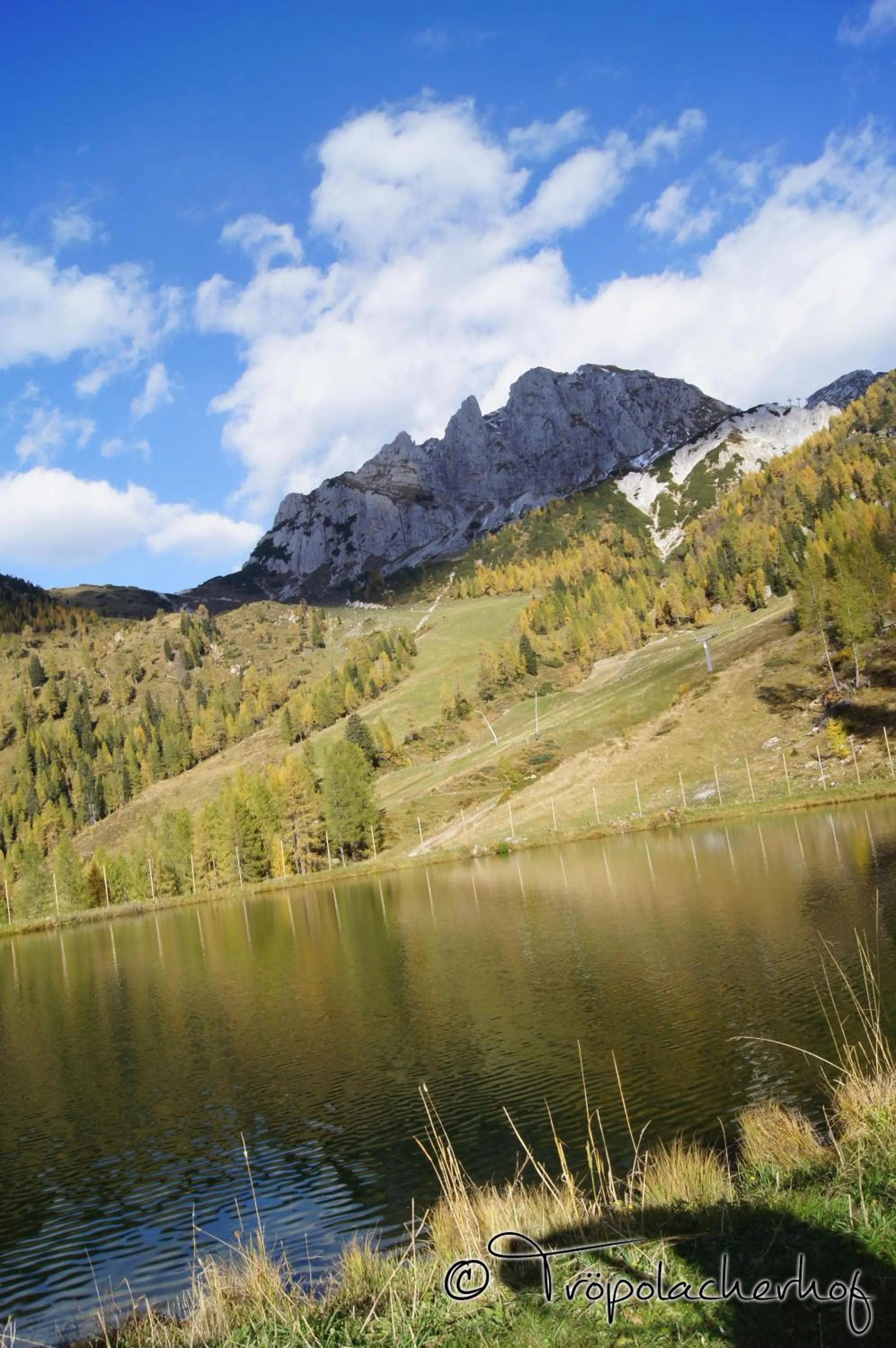 Area and facilities in Der Tröpolacherhof Hotel & Restaurant