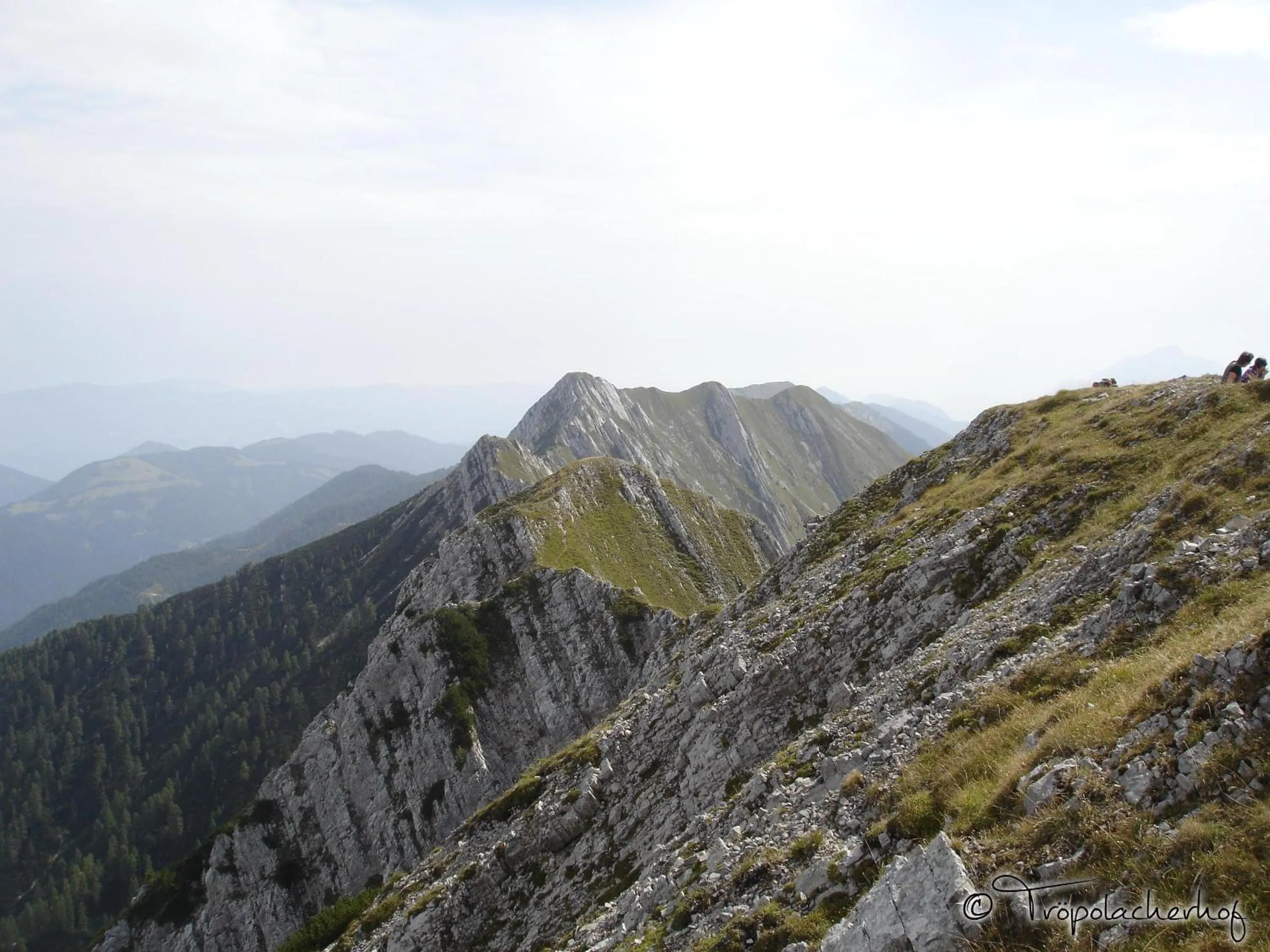 Summer in Der Tröpolacherhof Hotel & Restaurant