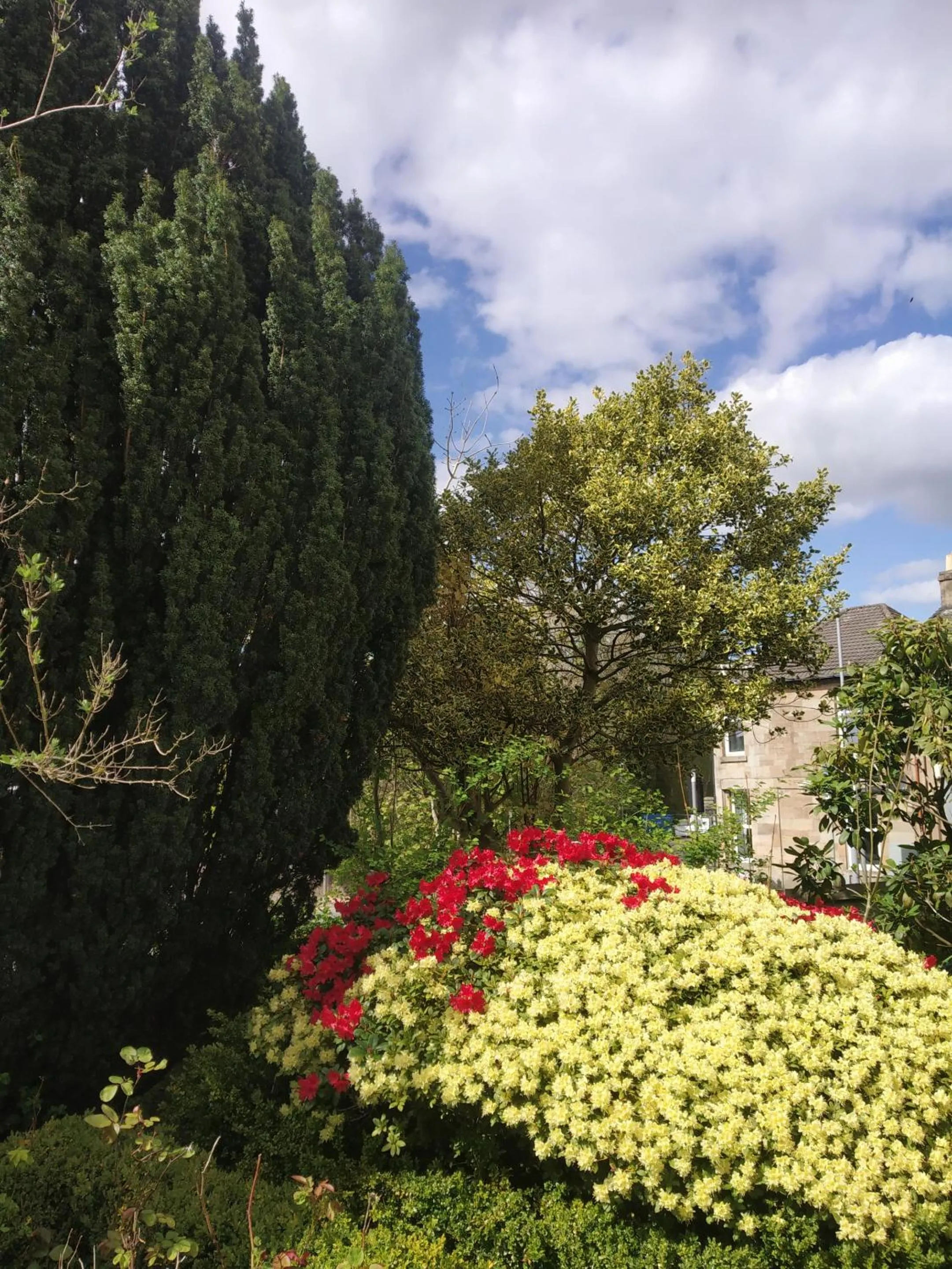 Property building in Busby Apartments