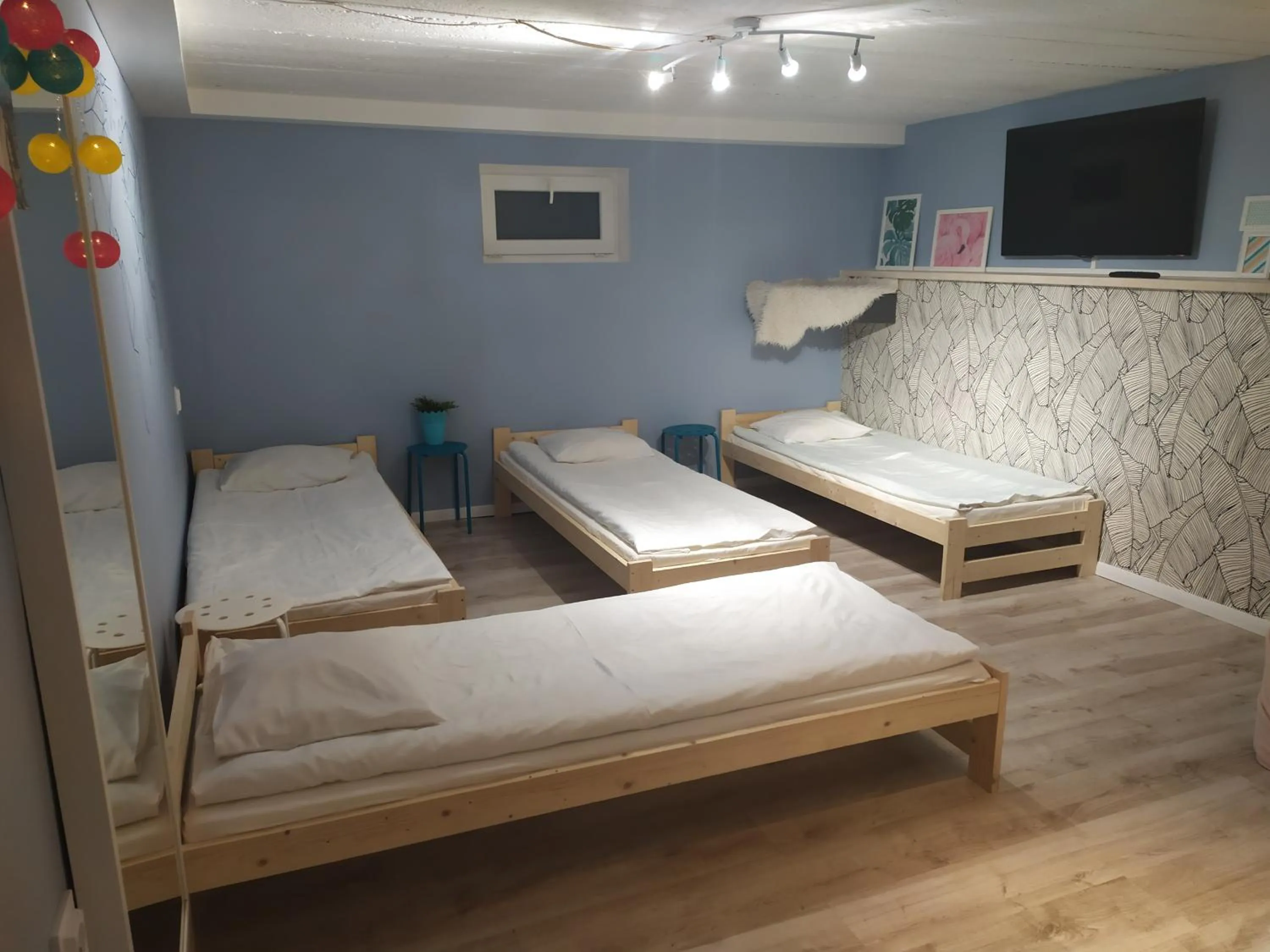 Olive Hostel