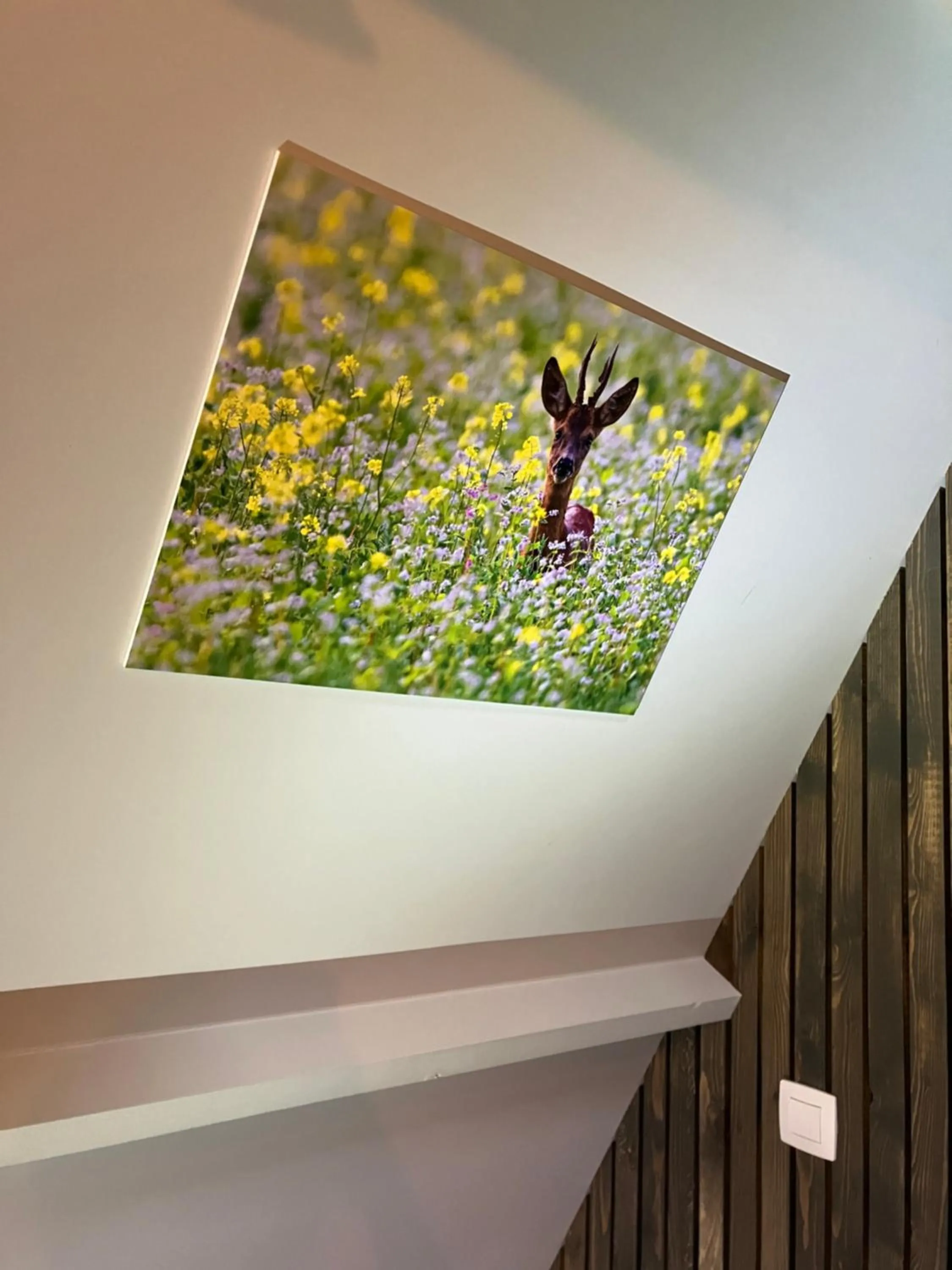 Chalet Tournesol Durbuy