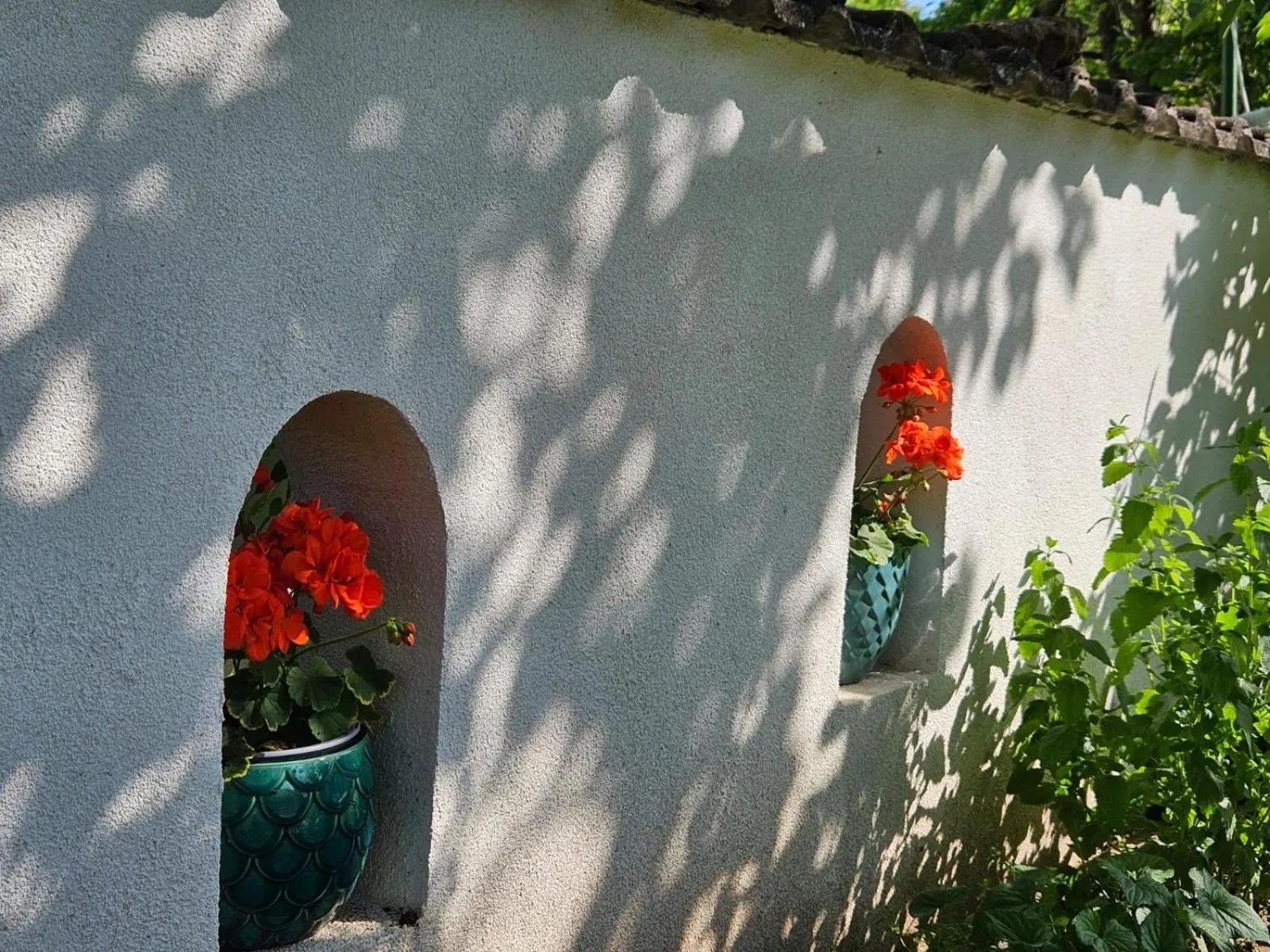 Garden in Penzión Emese